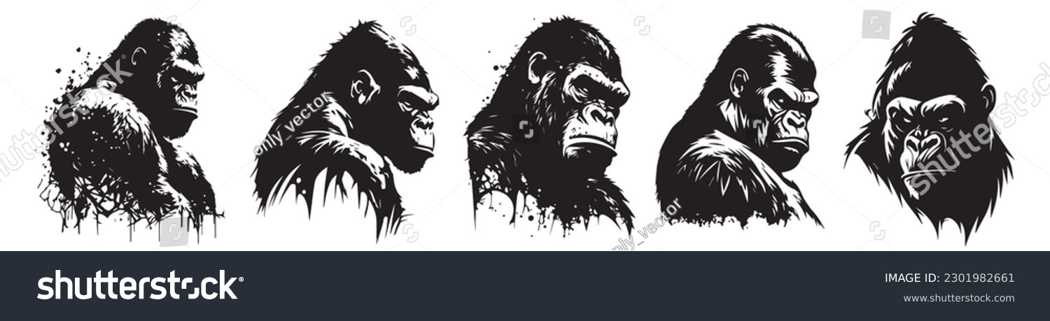 SVG of Gorilla heads black and white vector. Silhouette svg shapes of gorilla illustration. svg