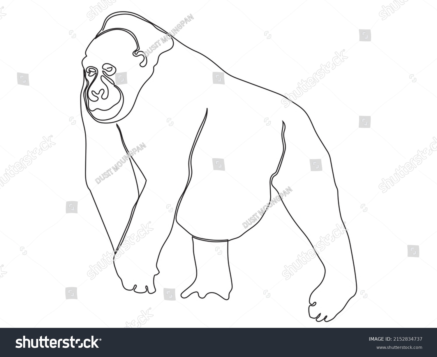 Gorilla Continuous Line Art On White Stock Vector (Royalty Free ...