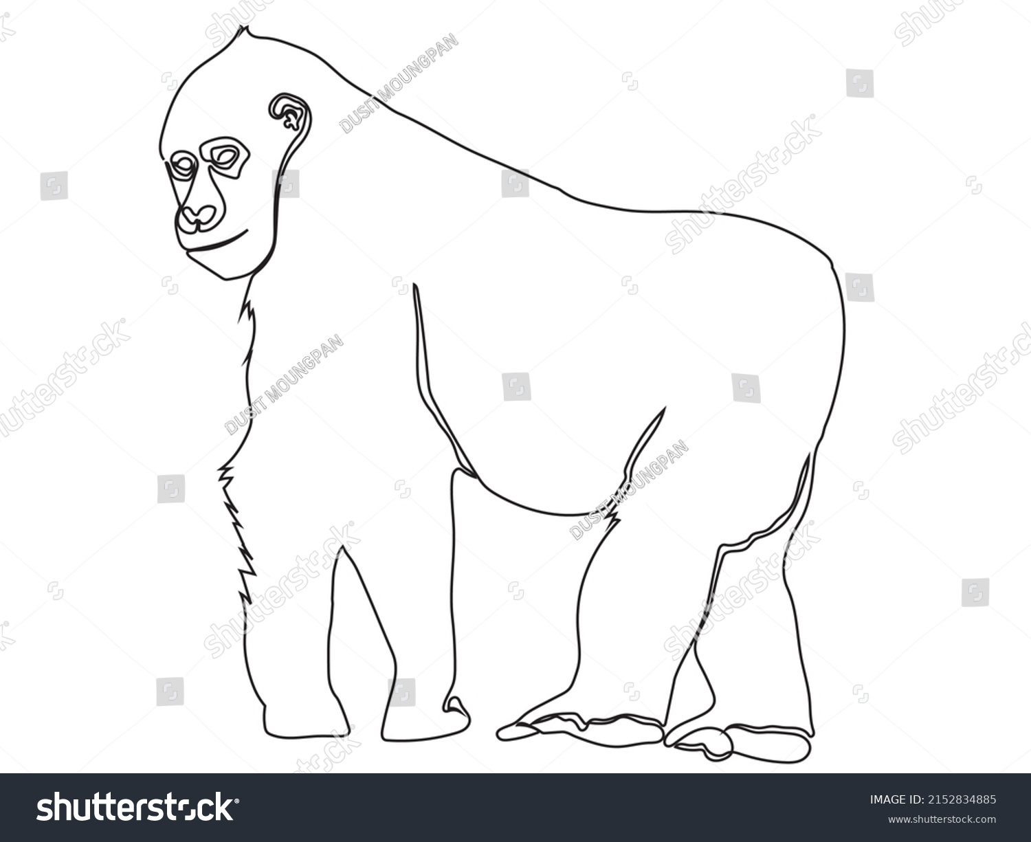 Gorilla Continuous Line Art On White Stock Vector (Royalty Free ...