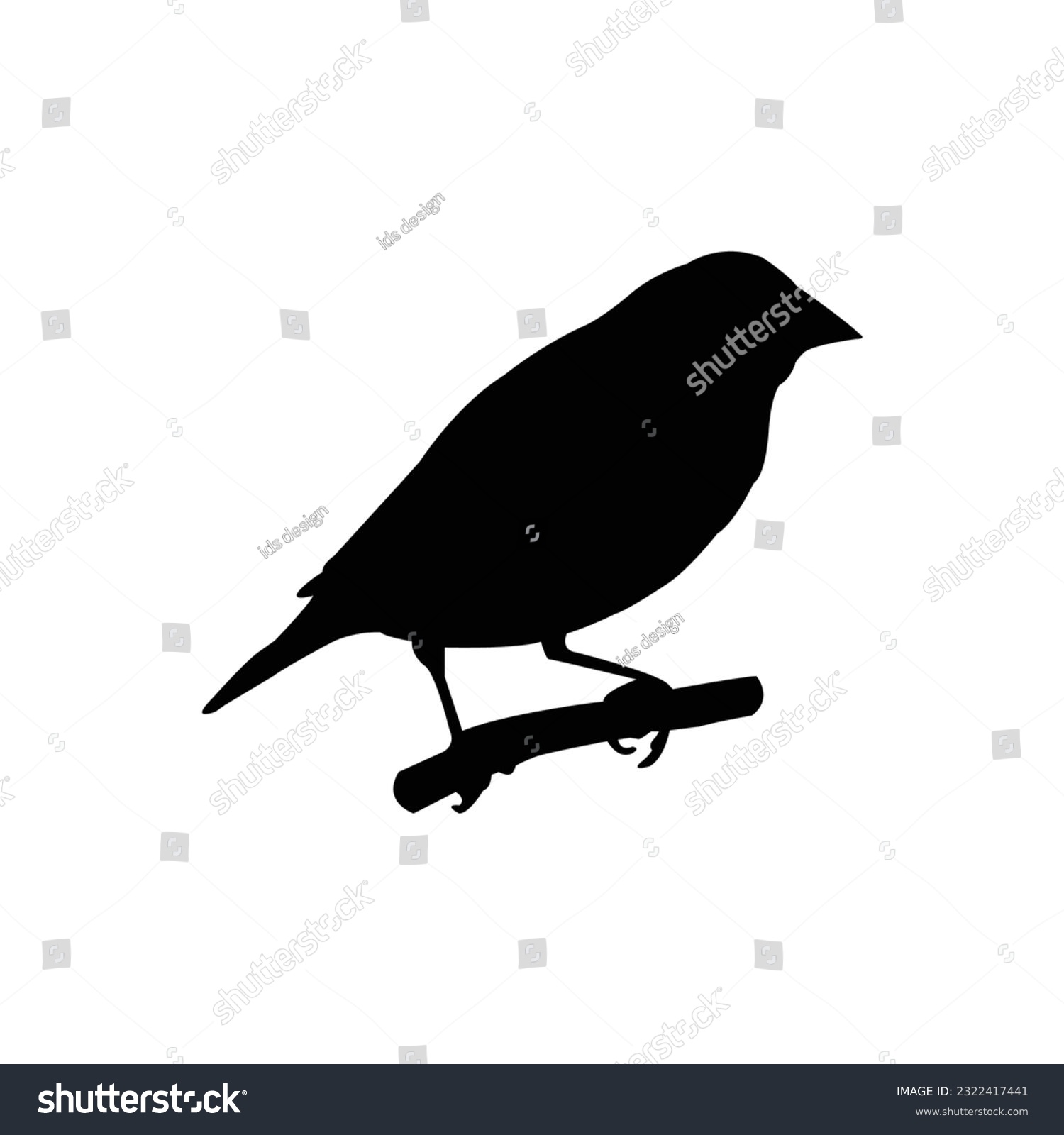 SVG of gouldian finch bird icon vector illustration design svg