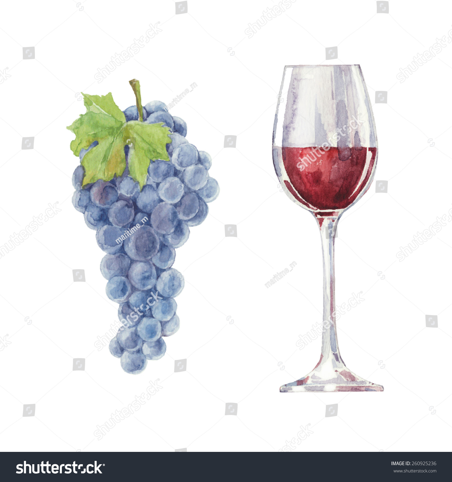 Grapes Red Wine Glass Isolated On Stock Vector (Royalty Free) 260925236