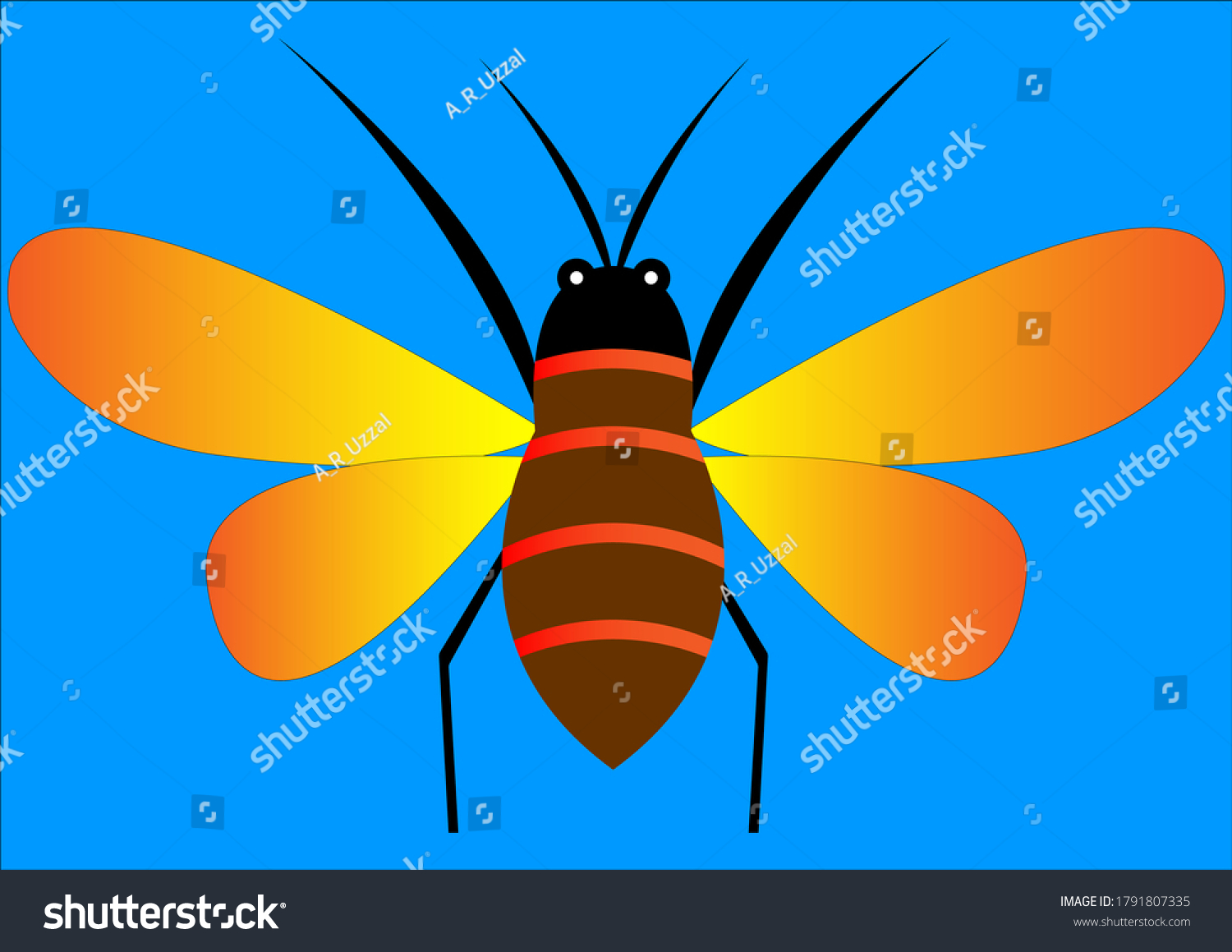 Graphic Illustration Honey Bee Isolated On Stock Vector (Royalty Free ...