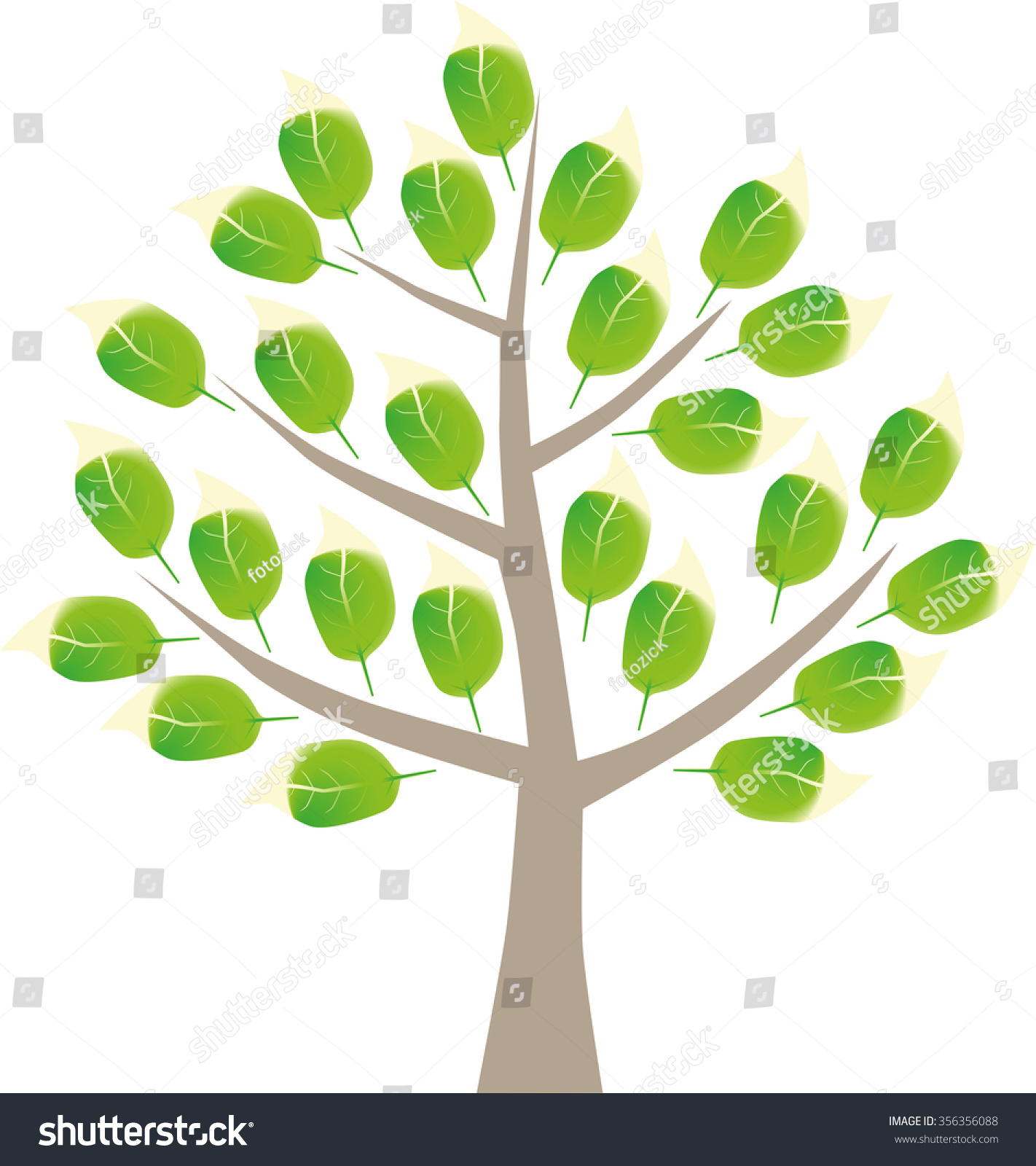 Graphic Of A Deciduous Tree With Spring Foliage, On White Background