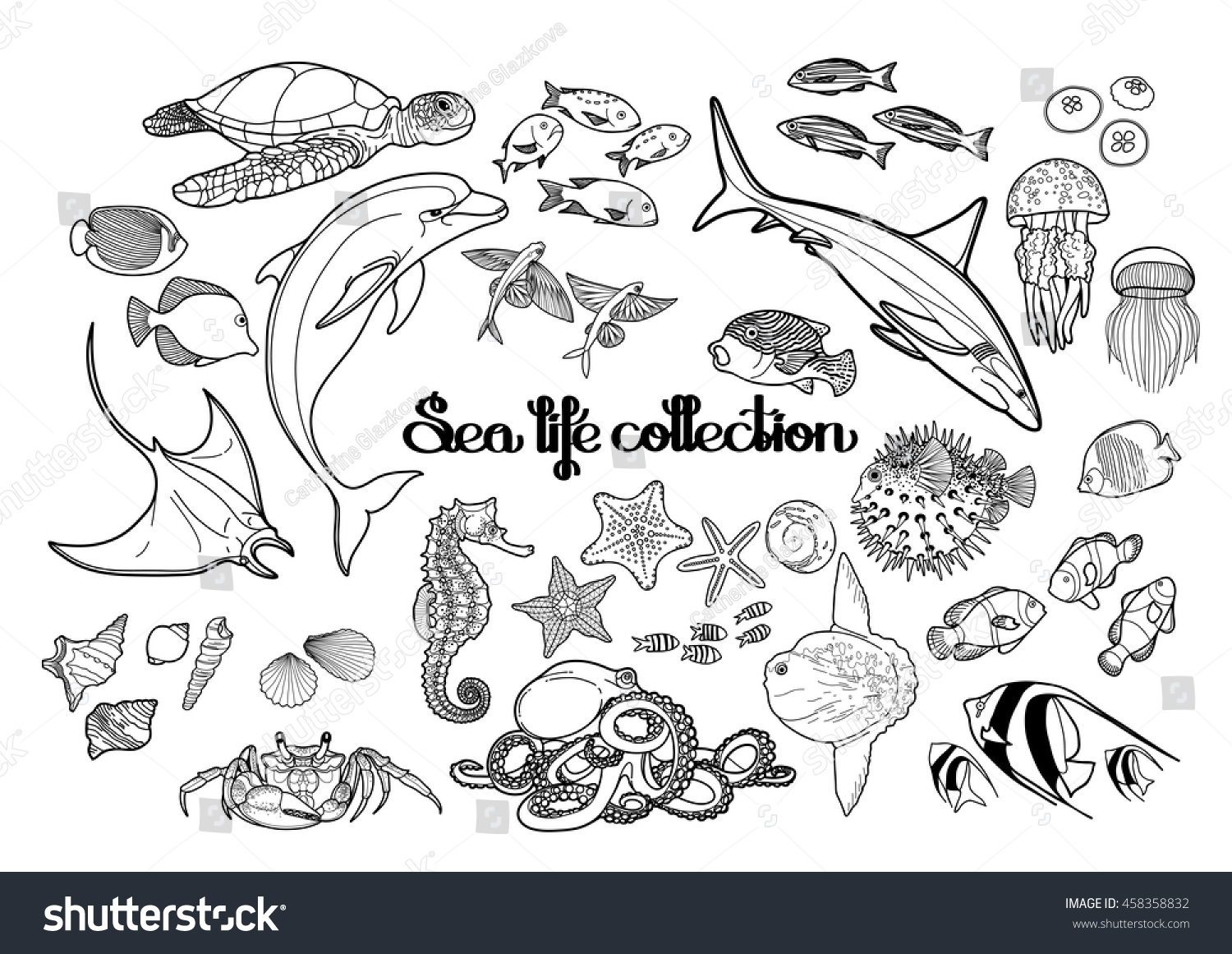 Graphic Sea Life Collection Vector Ocean Stock Vector