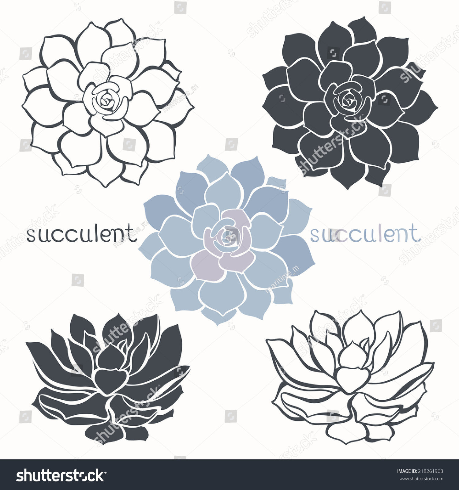 Graphic Set Succulents Isolated On White Stock Vector Royalty Free 218261968 