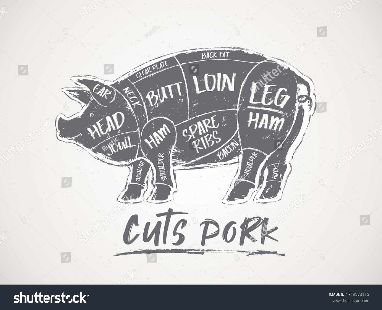 Graphic Silhouette Pig Line Cutting Butcher Stock Vector (Royalty Free ...