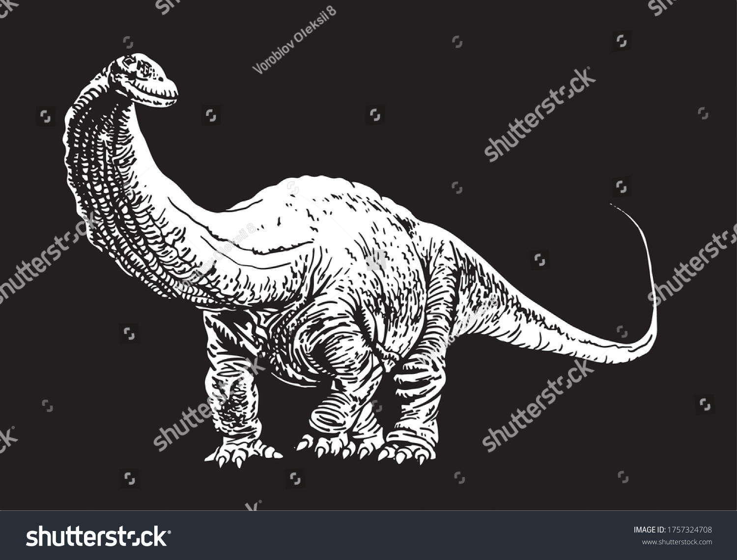 Graphical Apatosaurus Isolated On Black Backgroundvector Stock Vector ...