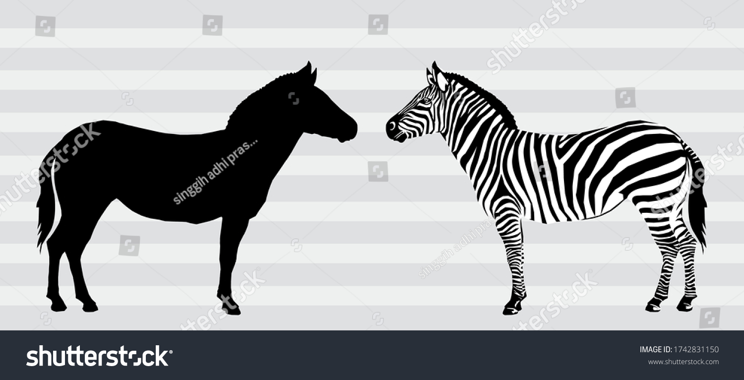 32,892 Horse zebra Images, Stock Photos & Vectors Shutterstock