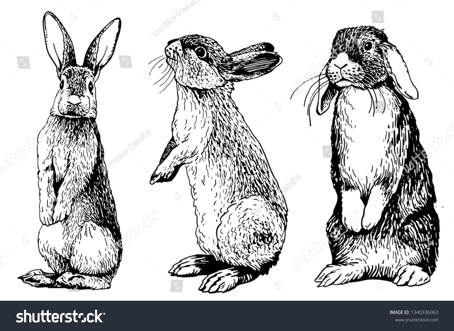 Graphical Set Rabbits Isolated On White Stock Vector (Royalty Free ...