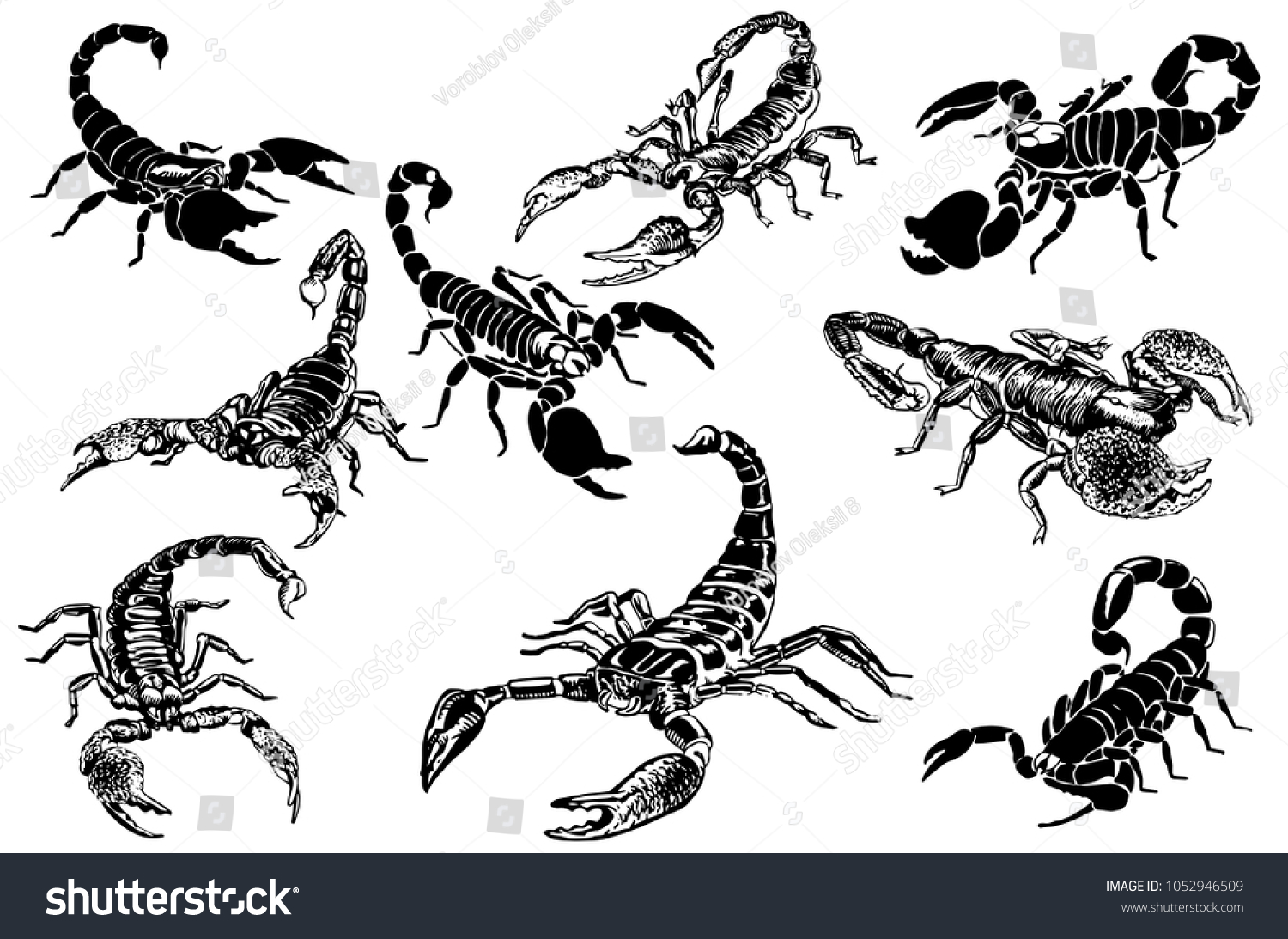 Traditional Scorpion Tattoo Sleeve - wide 4