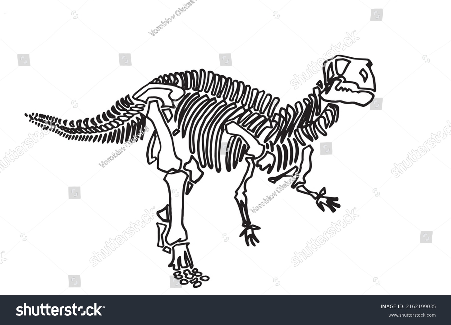 Graphical Skeleton Tyrannosaurus Isolated On Whitevector Stock Vector ...