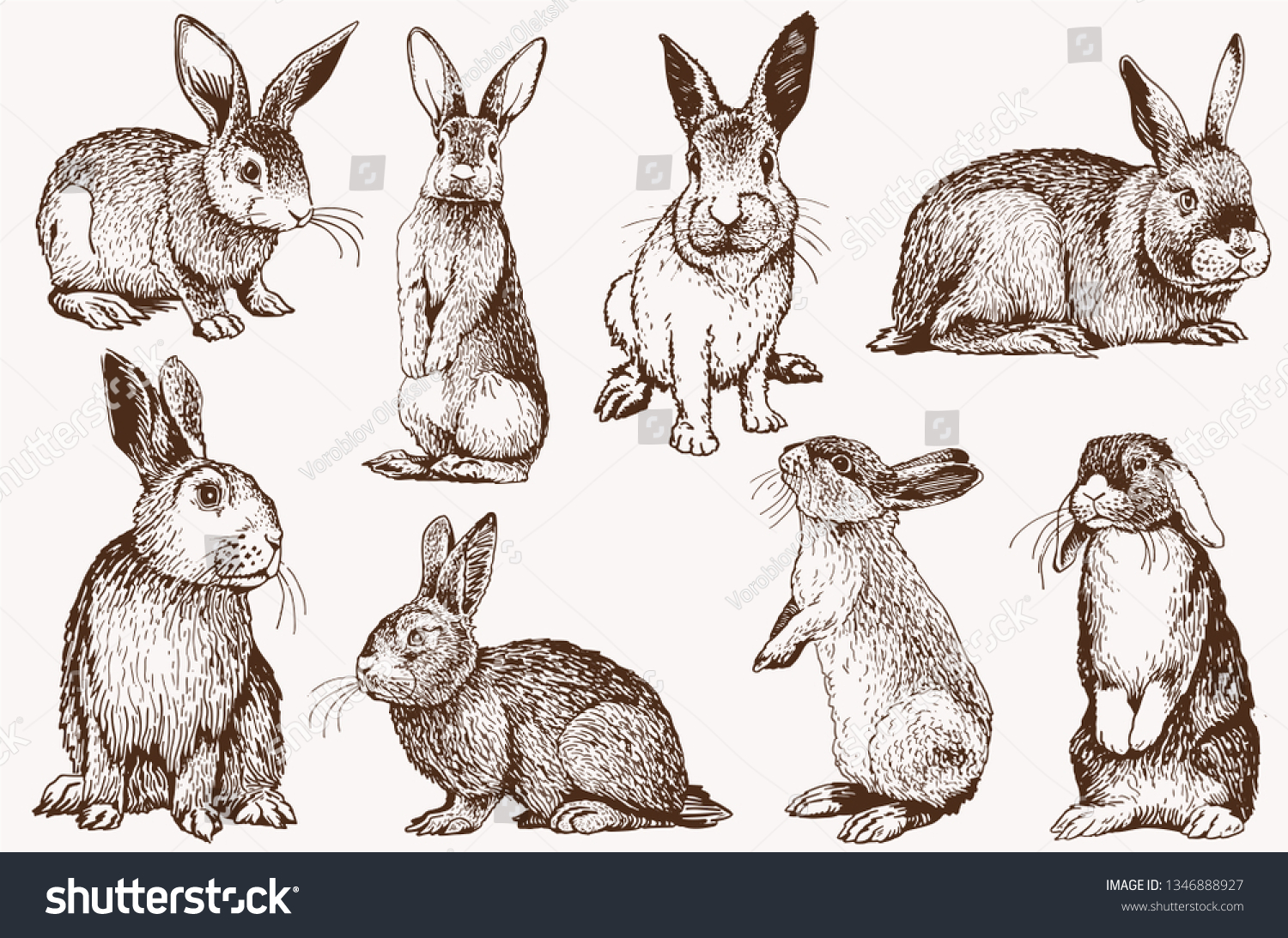 Graphical Vintage Set Bunnies Vector Retro Stock Vector (Royalty Free ...