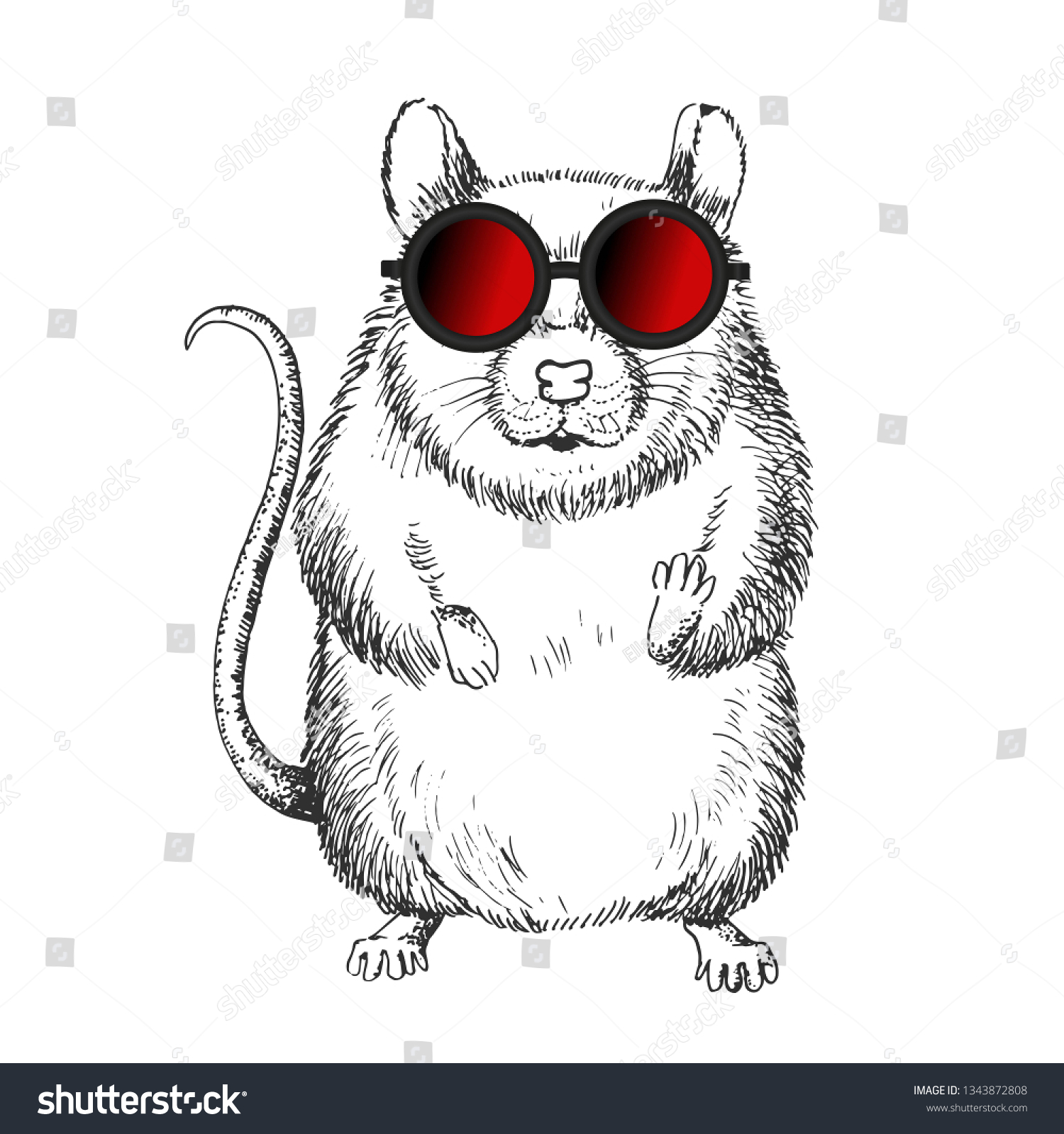 rat sunglasses