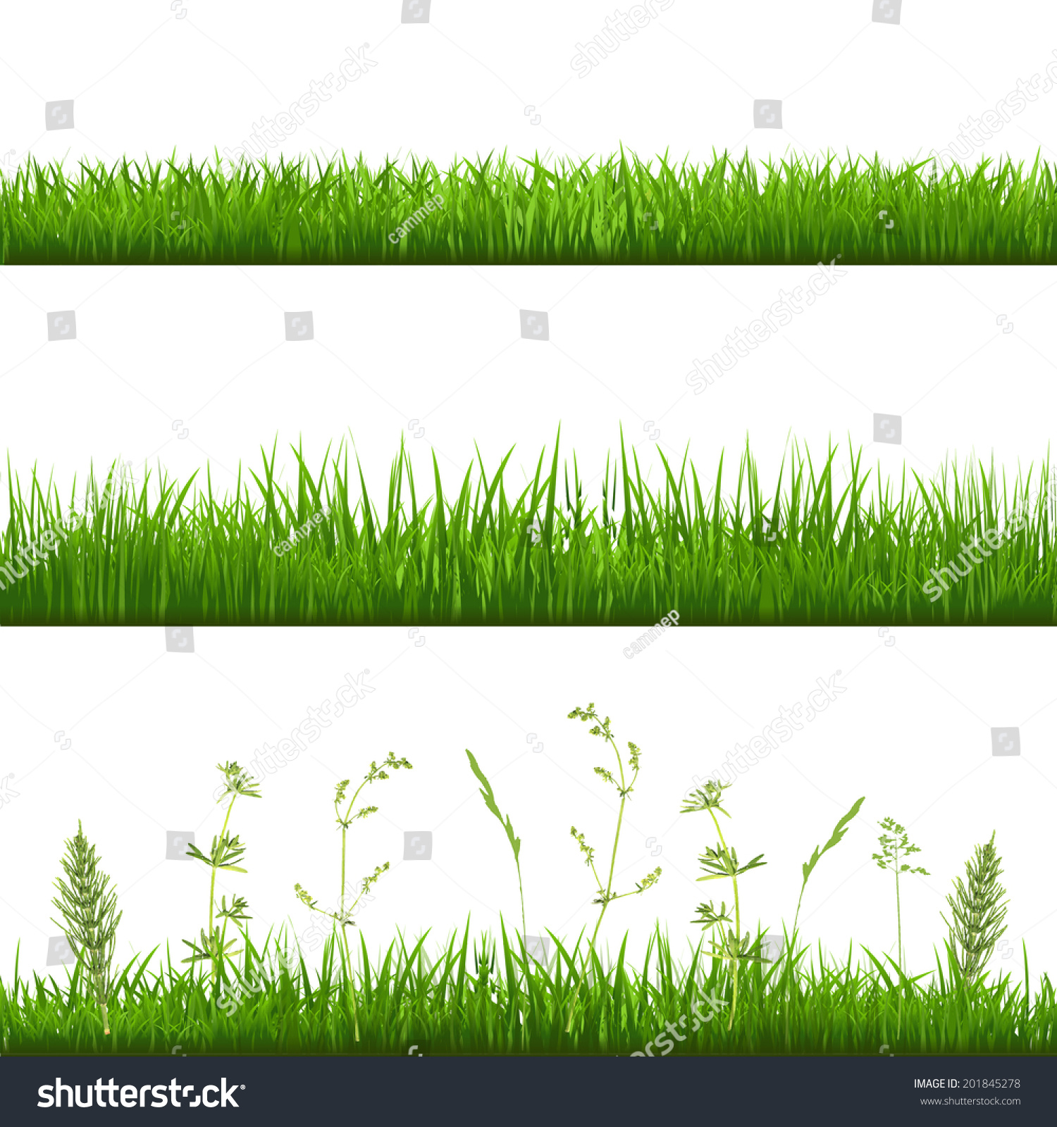 Download Grass Borders Gradient Mesh Vector Illustration Stock ...