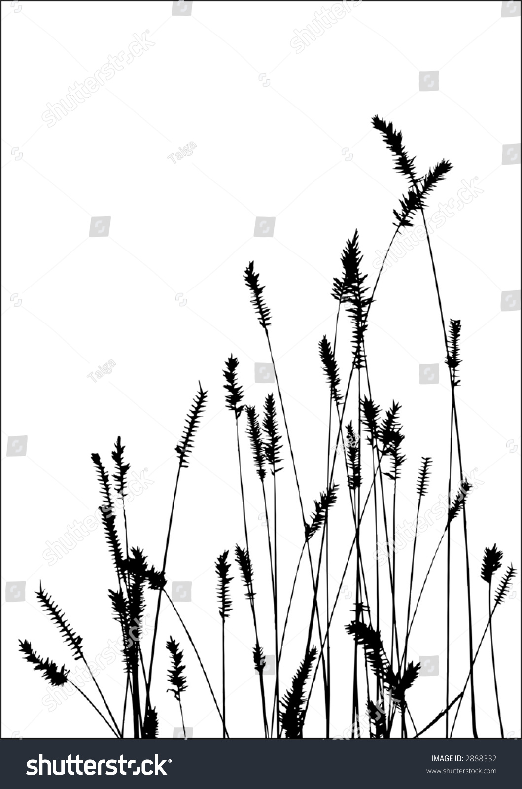 Grass Vector Black Silhouette. Ideally For Your Use - 2888332 ...