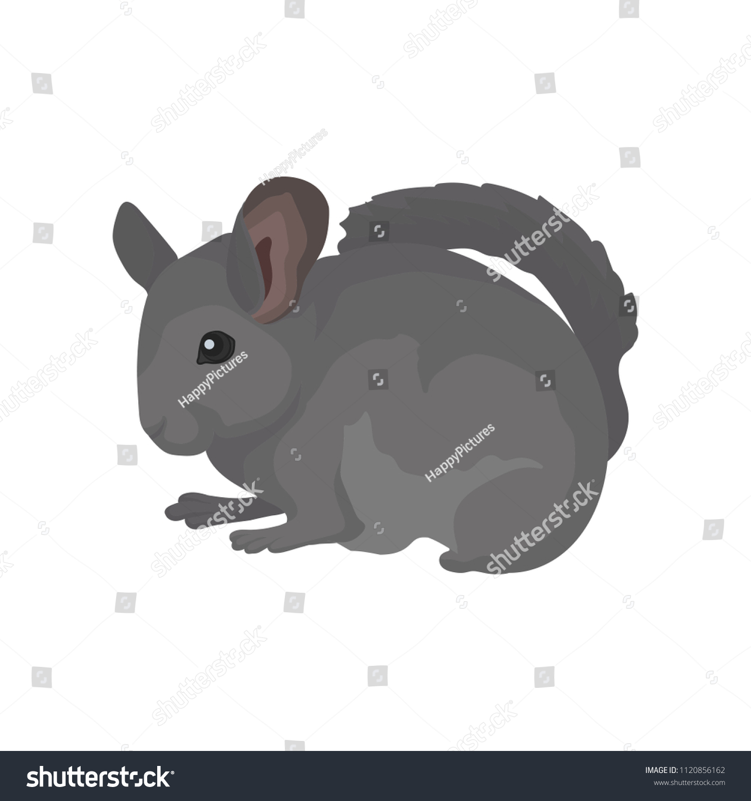 SVG of Gray domestic chinchilla. Rodent with soft fur, small ears and long bushy tail. Small mammal animal. Flat vector for poster or banner svg