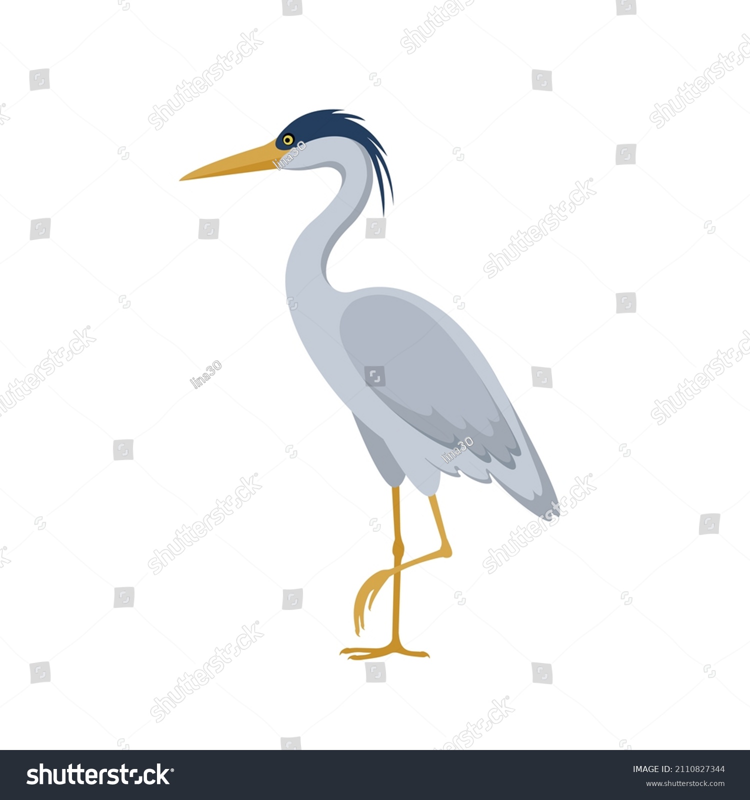 Gray Heron Standing On One Leg Stock Vector (Royalty Free) 2110827344 ...