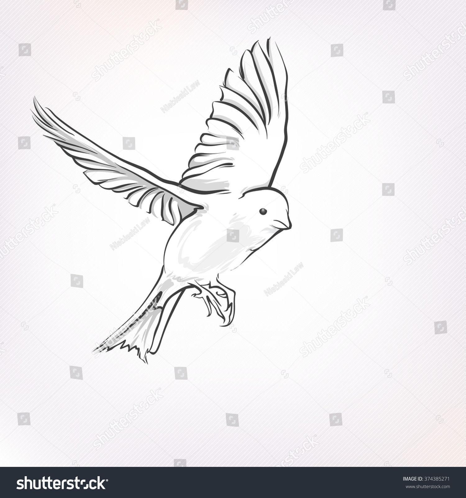 Gray Scale Flying Bird Realistic Manner Stock Vector Royalty Free 374385271