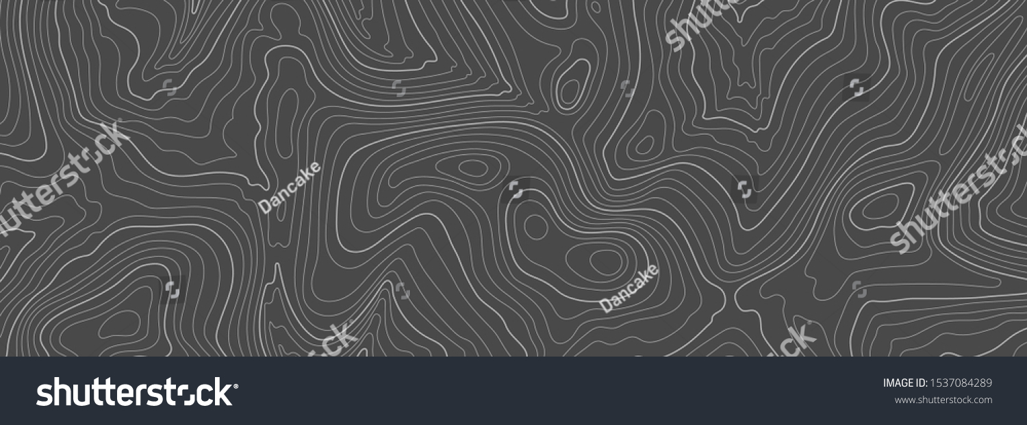 SVG of Gray topographic line contour map background, geographic grid map svg