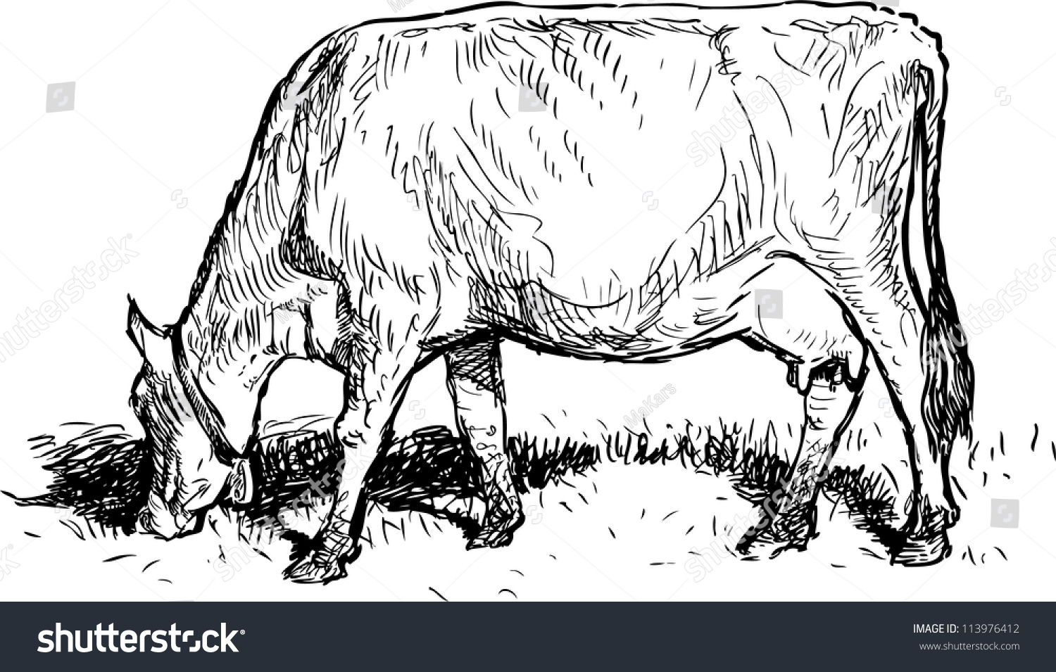 cow grazing clipart - photo #13