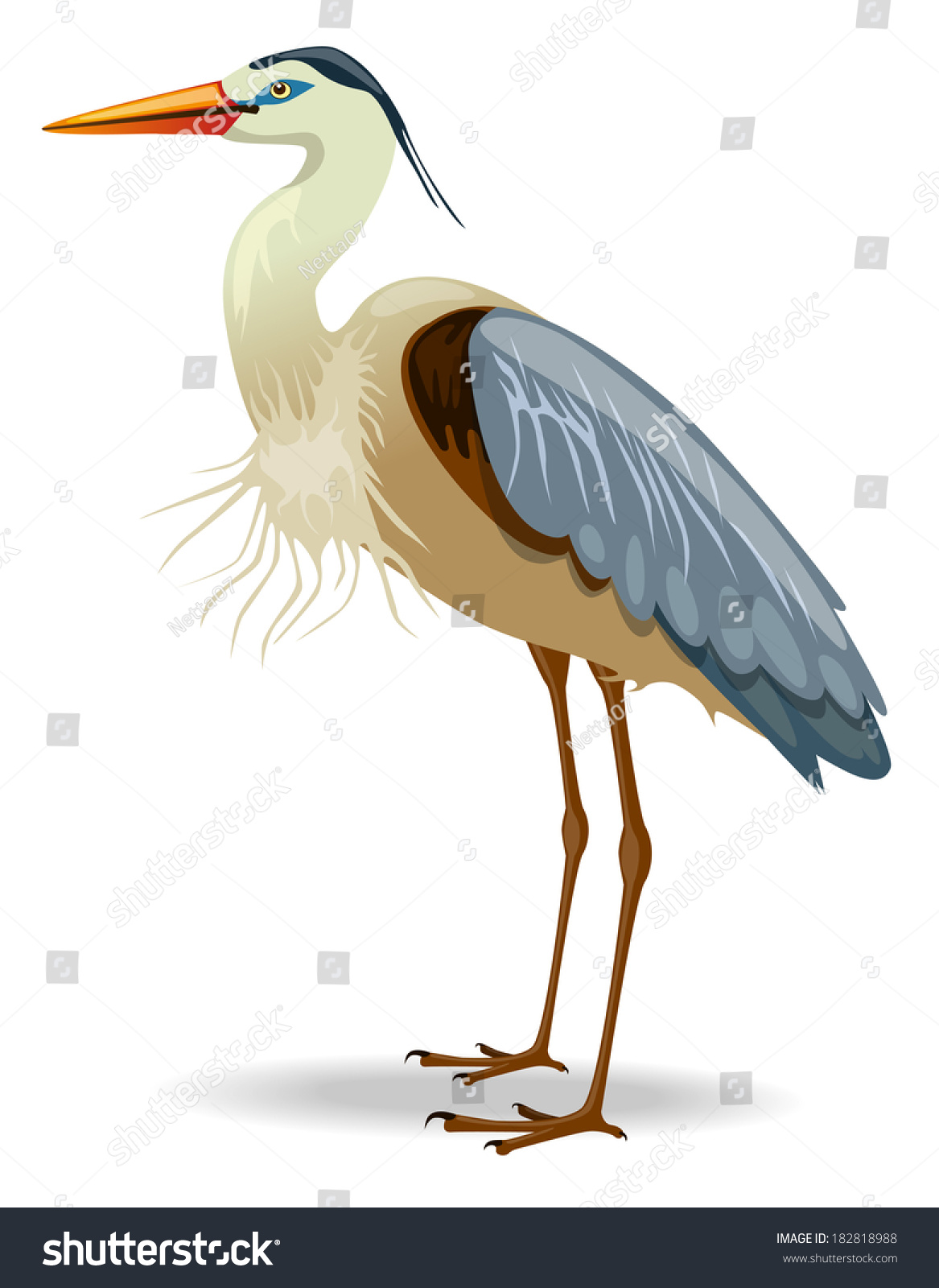 Great Blue Heron Vector Illustration Stock Vector (Royalty Free) 182818988