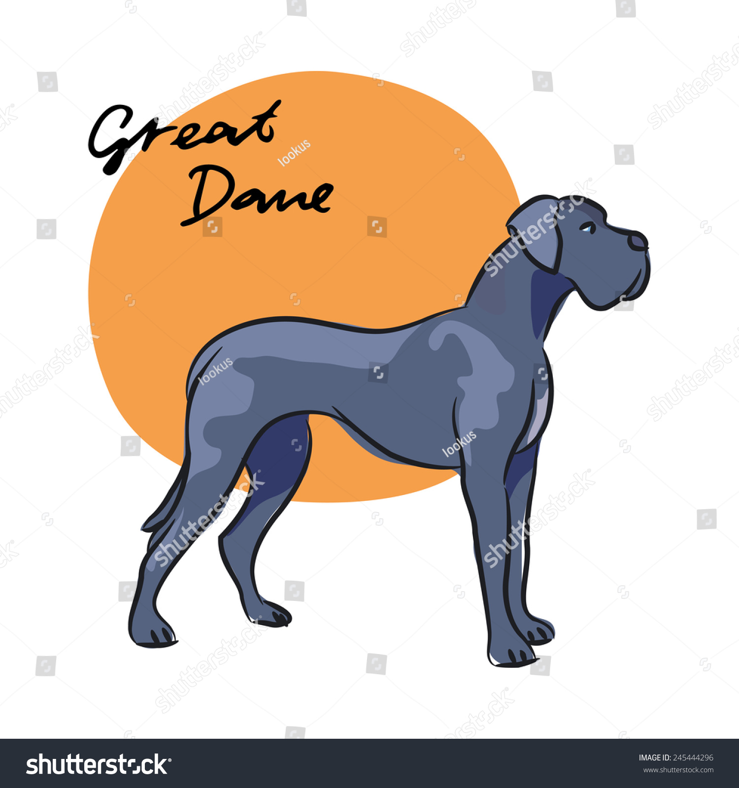 Great Dane Vector Illustration Stock Vector Royalty Free 245444296