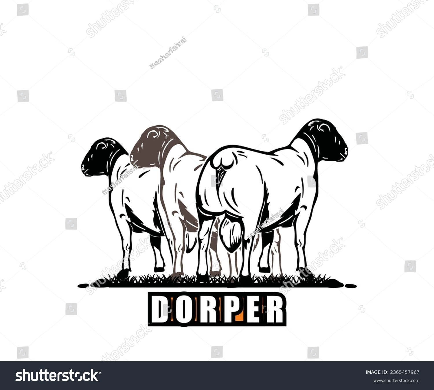 SVG of GREAT DORPER SHEEPS STANDING LOGO, silhouette of healthy big rams vector illustrations. svg