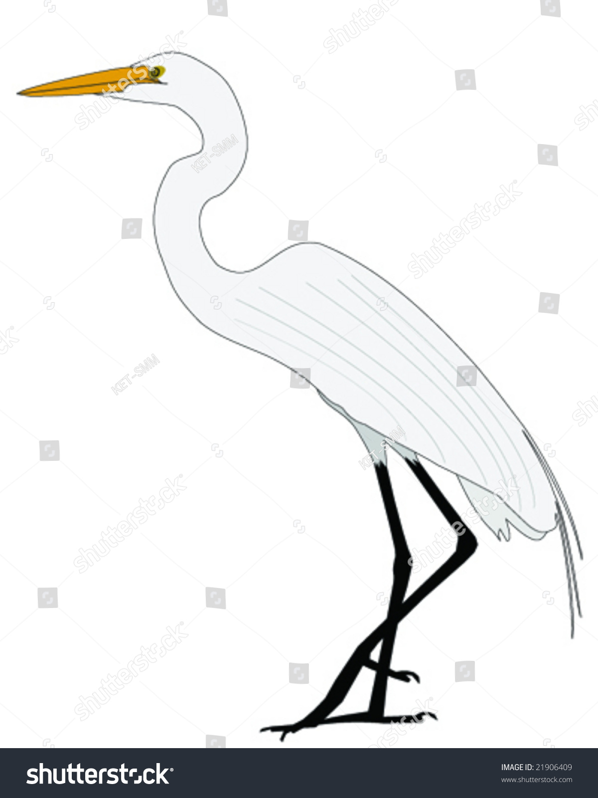 Great Egret Illustration - 21906409 : Shutterstock