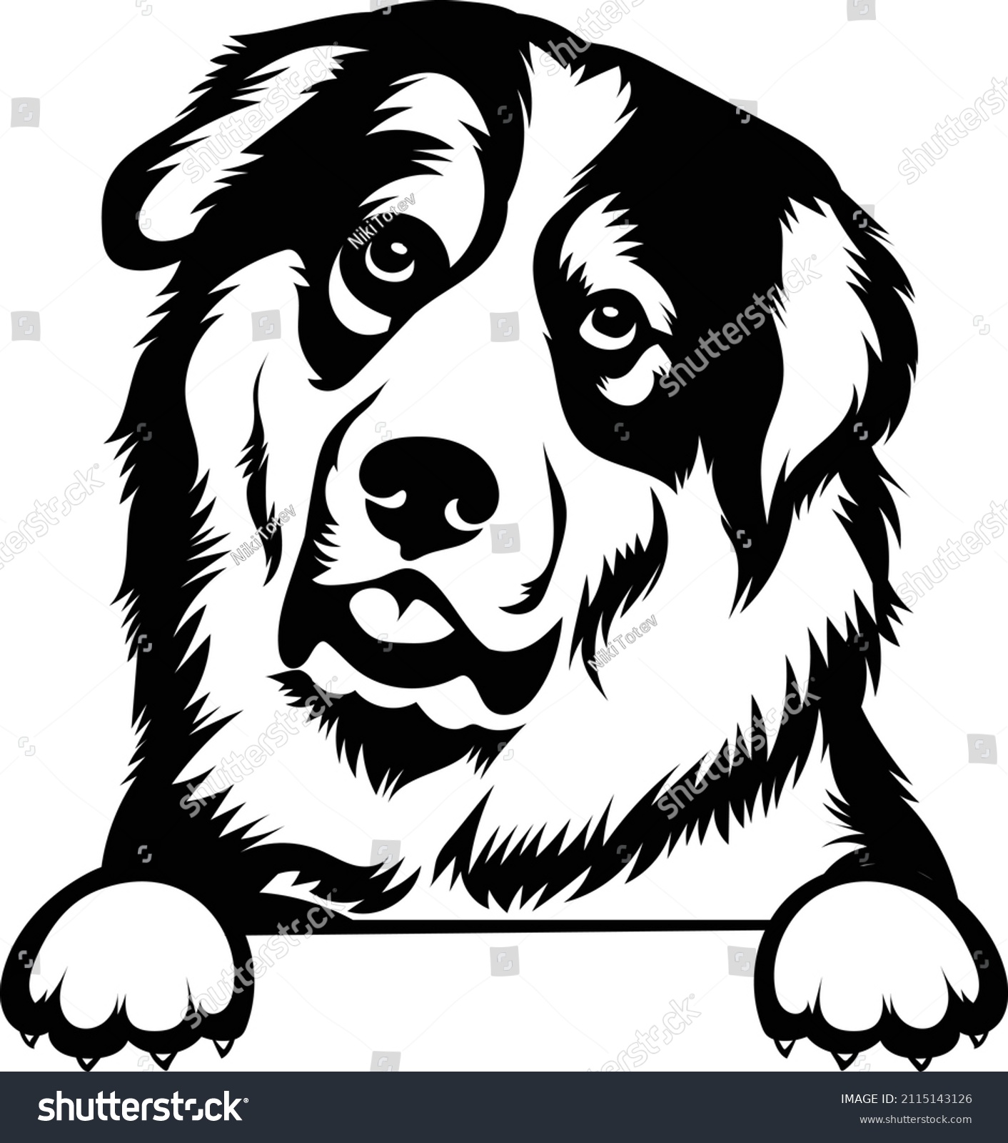 SVG of Great Pyrenees Peeking Dog Vector Image Clipart Silhouette Cricut EPS Great Pyrenees Head Outlines Black And White  svg
