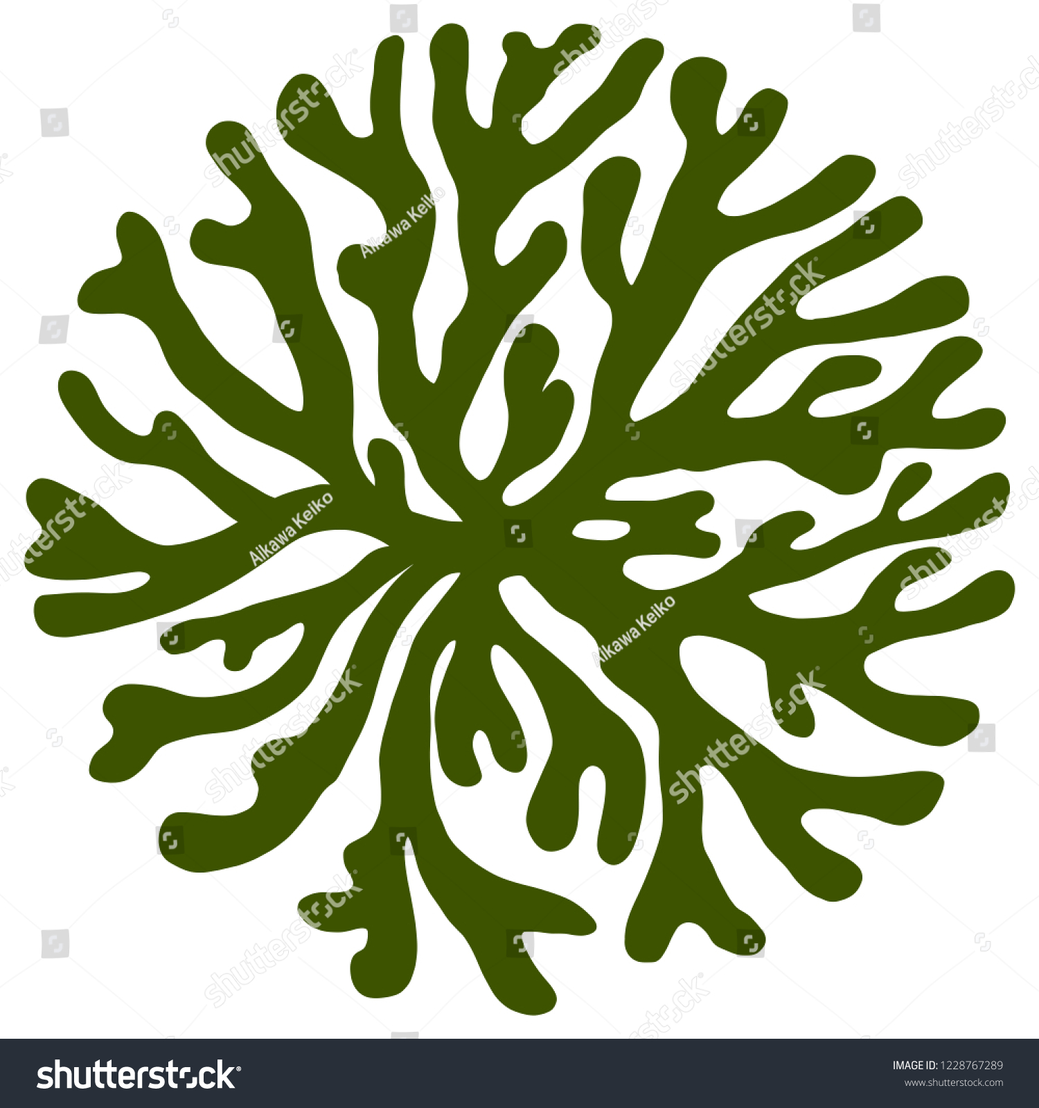 Alga Stock Illustrations, Images & Vectors | Shutterstock