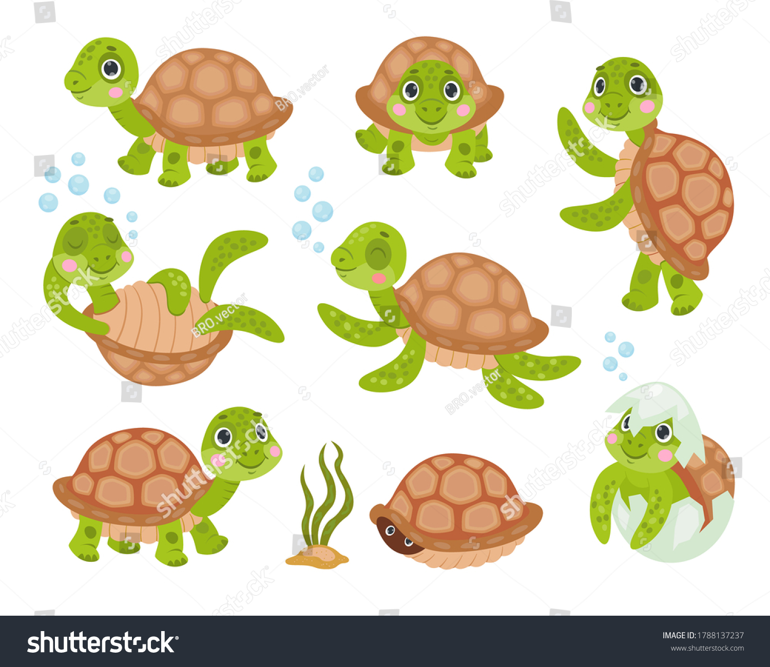 1,577 Tortoise hiding in shell Images, Stock Photos & Vectors ...