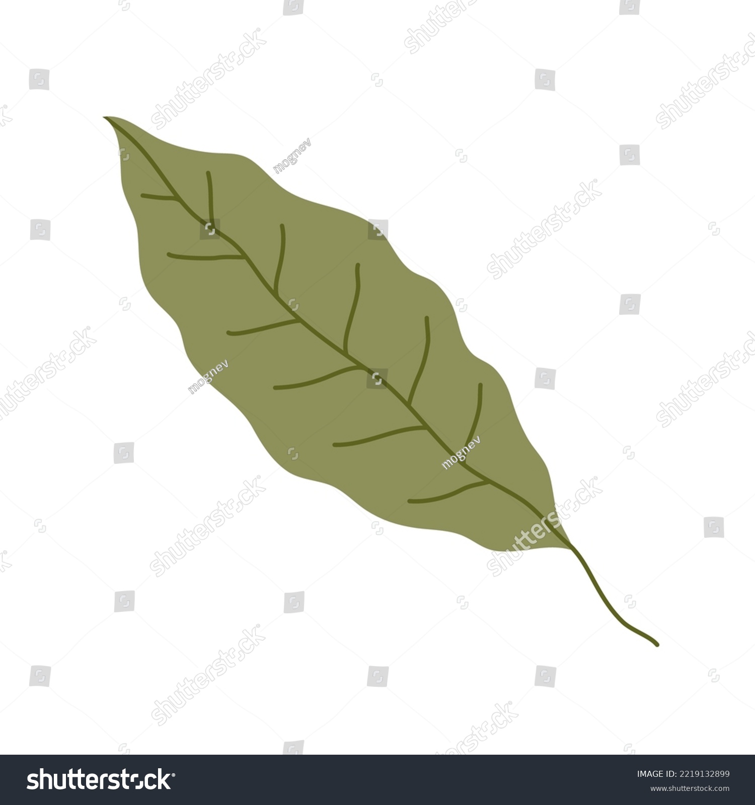 SVG of Green bay leaf. Aroma ingredient and seasoning for the dish. Natural healthy food and diet. Vegetarian product. Recipe. Flat vector illustration isolated on white background svg