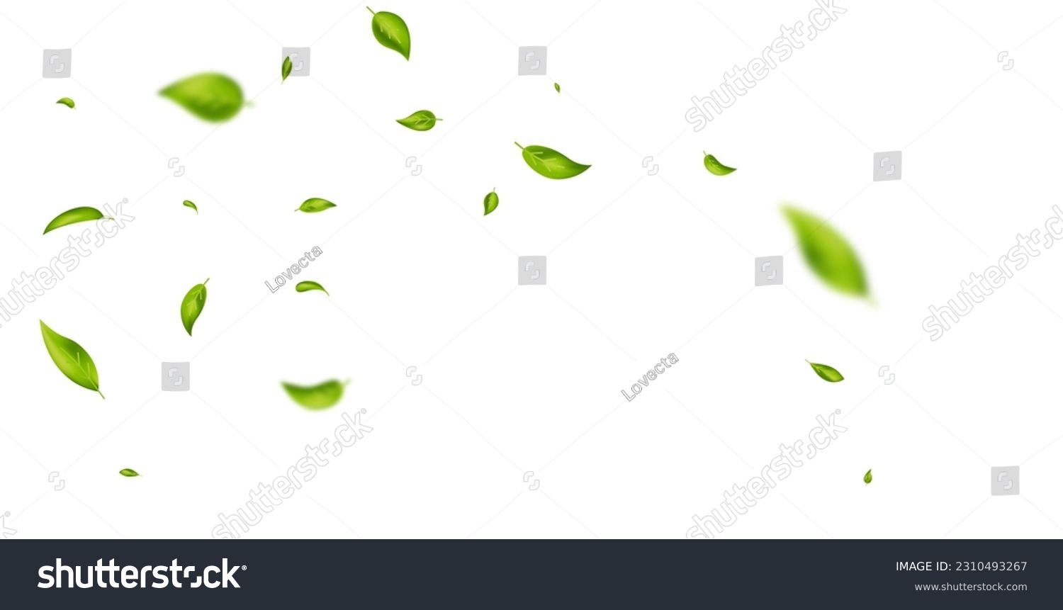 SVG of Green flying leaves wave. Organic cosmetic background. Natural herbal tea. Vegan, eco, bio design element. Leaf falling. Summer foliage ornament. Beauty product. Healthy food. Vector illustration. svg