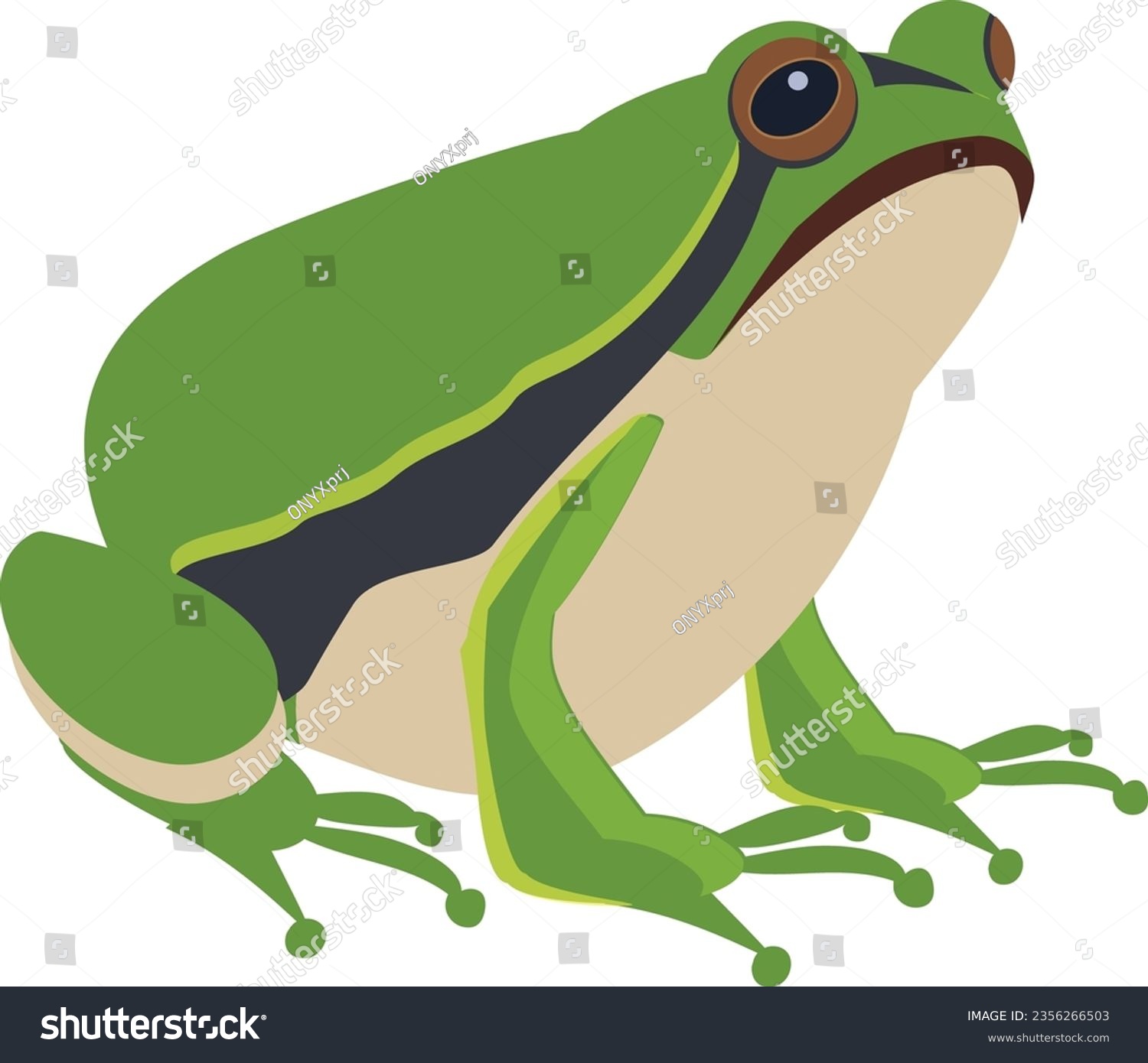 SVG of Green frog. Sitting amphibia. Wild animal icon svg