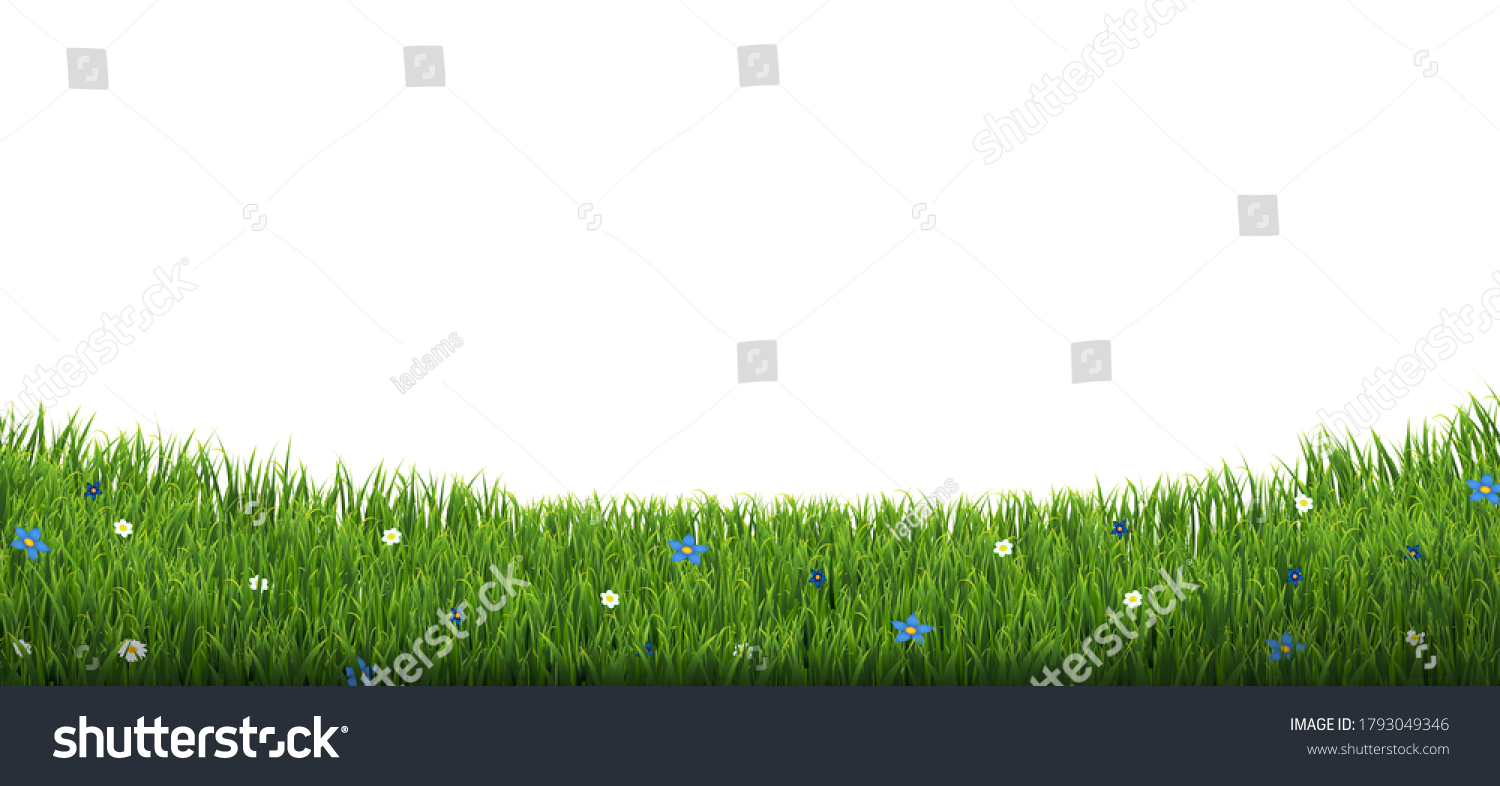 Green Grass Border Flowers Sun Isolated Stock Vector (Royalty Free ...