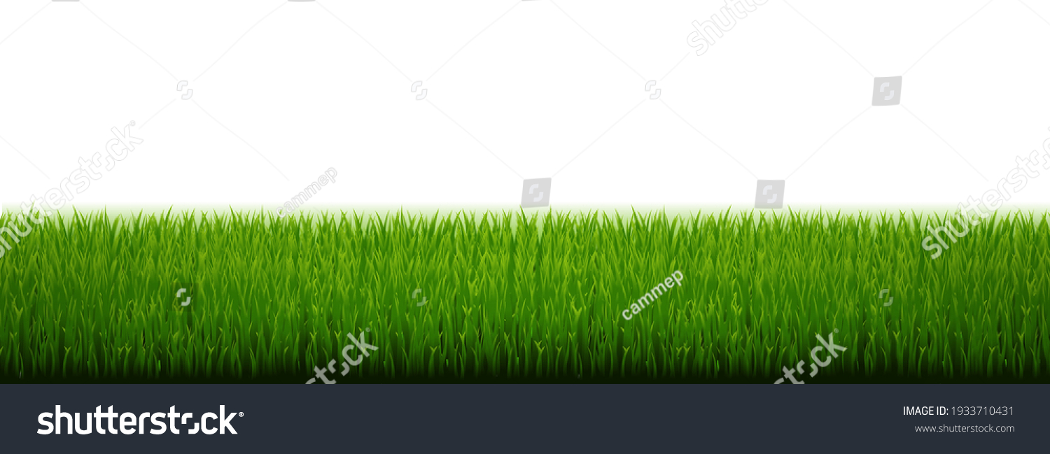 Green Grass Border White Background With Gradient Background Vector Illustration