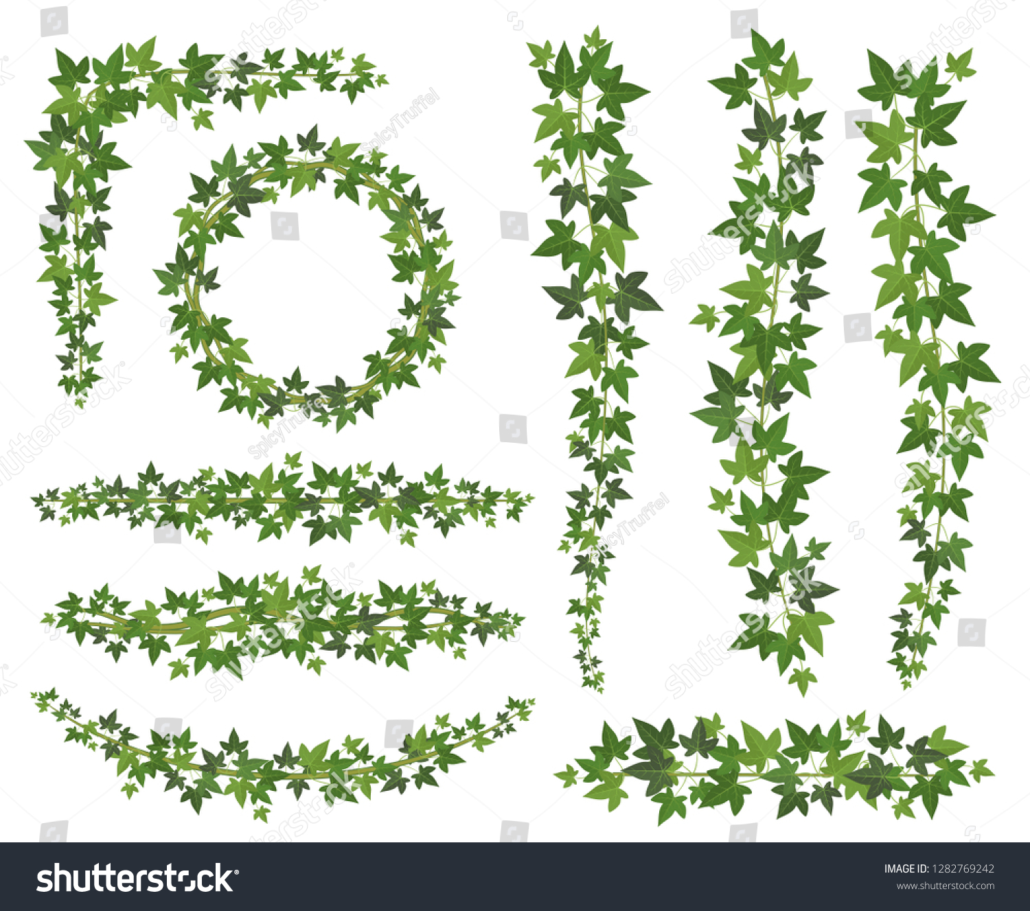 Green Ivy Leaves On Hanging Creepers Stock Vector (Royalty Free) 1282769242