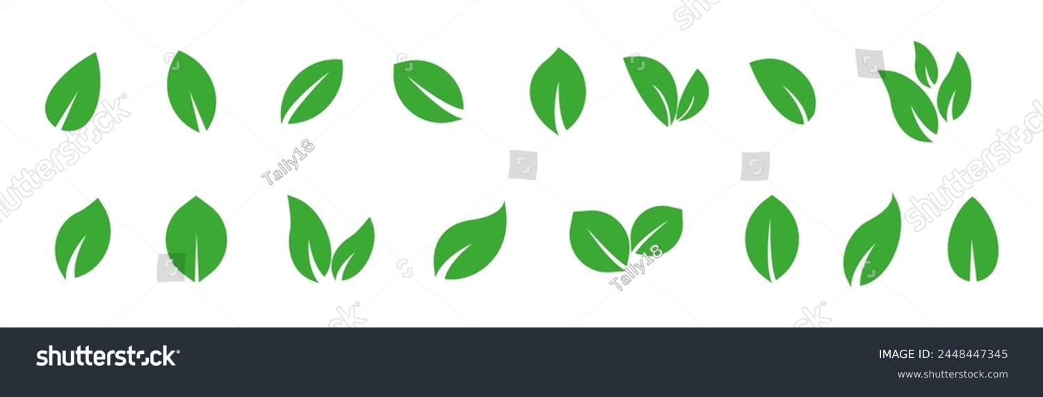 recommend clip art: Green leaf vector icons. Eco leaf logo. Simple linear leaves of trees and plants. Elements for eco friendly and bio logo,vegan. Green leaves collection. Ecology leaf element.