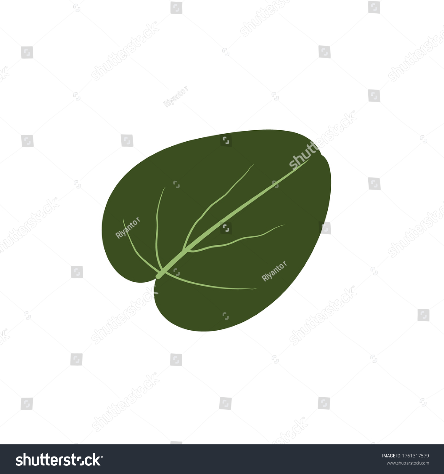 Green Leaf Vector Transparent Background Stock Vector (Royalty Free ...