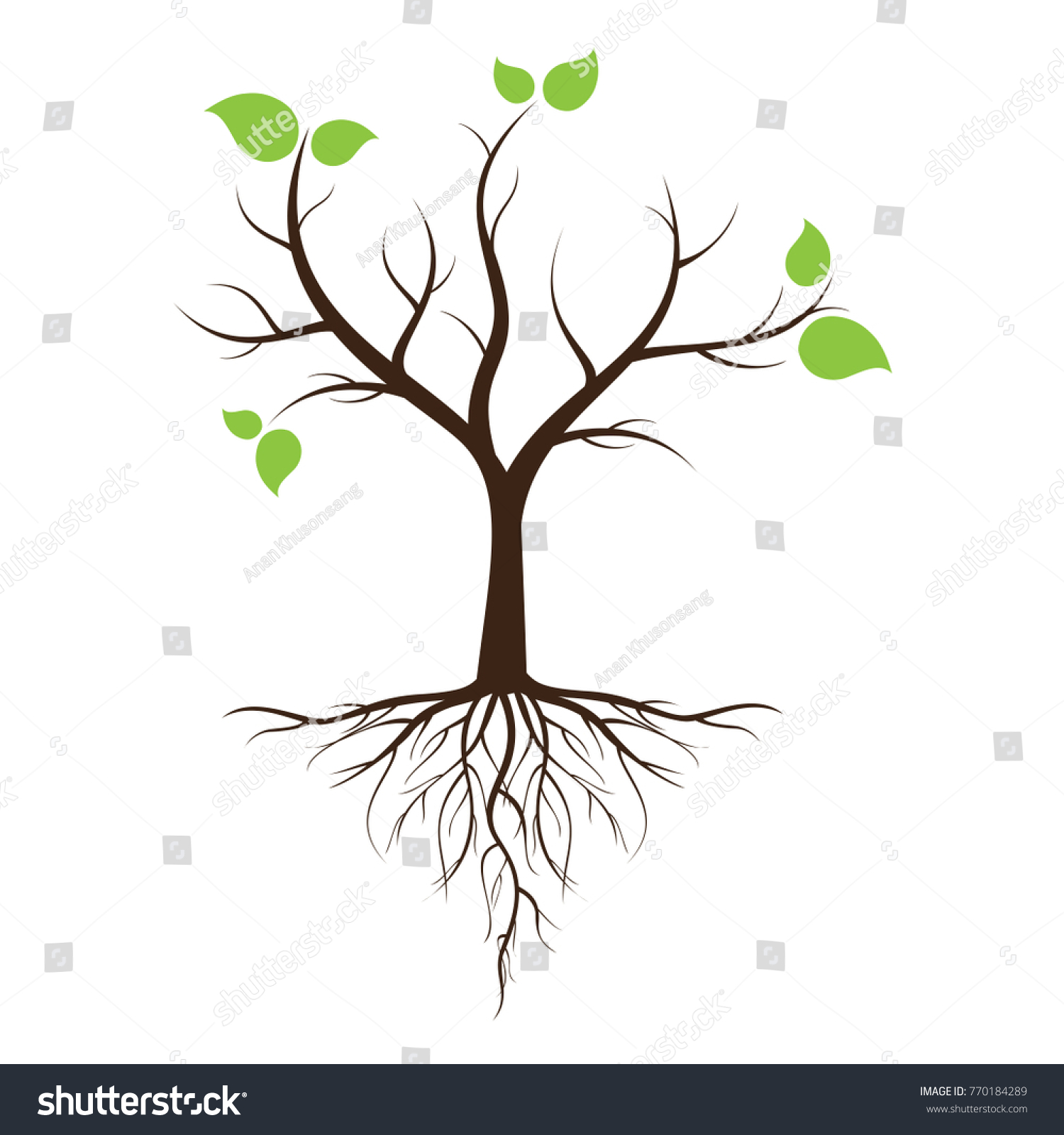 SVG of Green leafy tree with roots With trees isolated from white background. svg