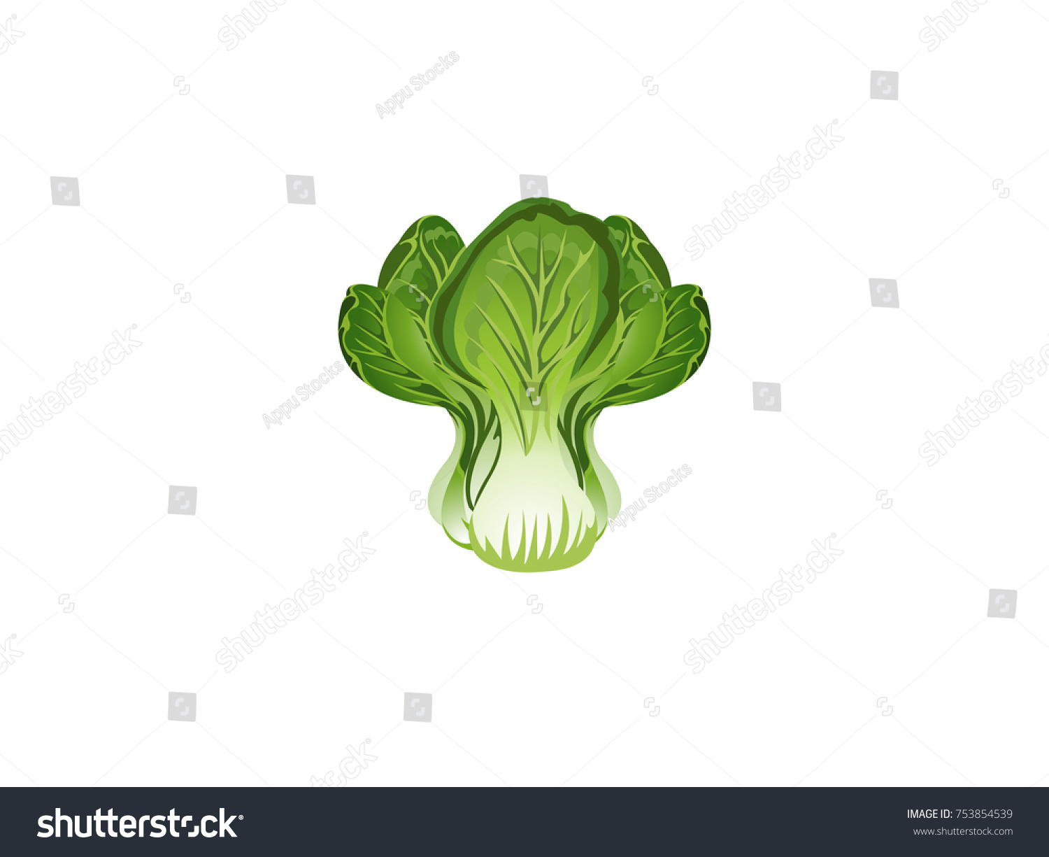 Green Lettuce Cartoon Vector Image Stock Vector (Royalty Free) 753854539