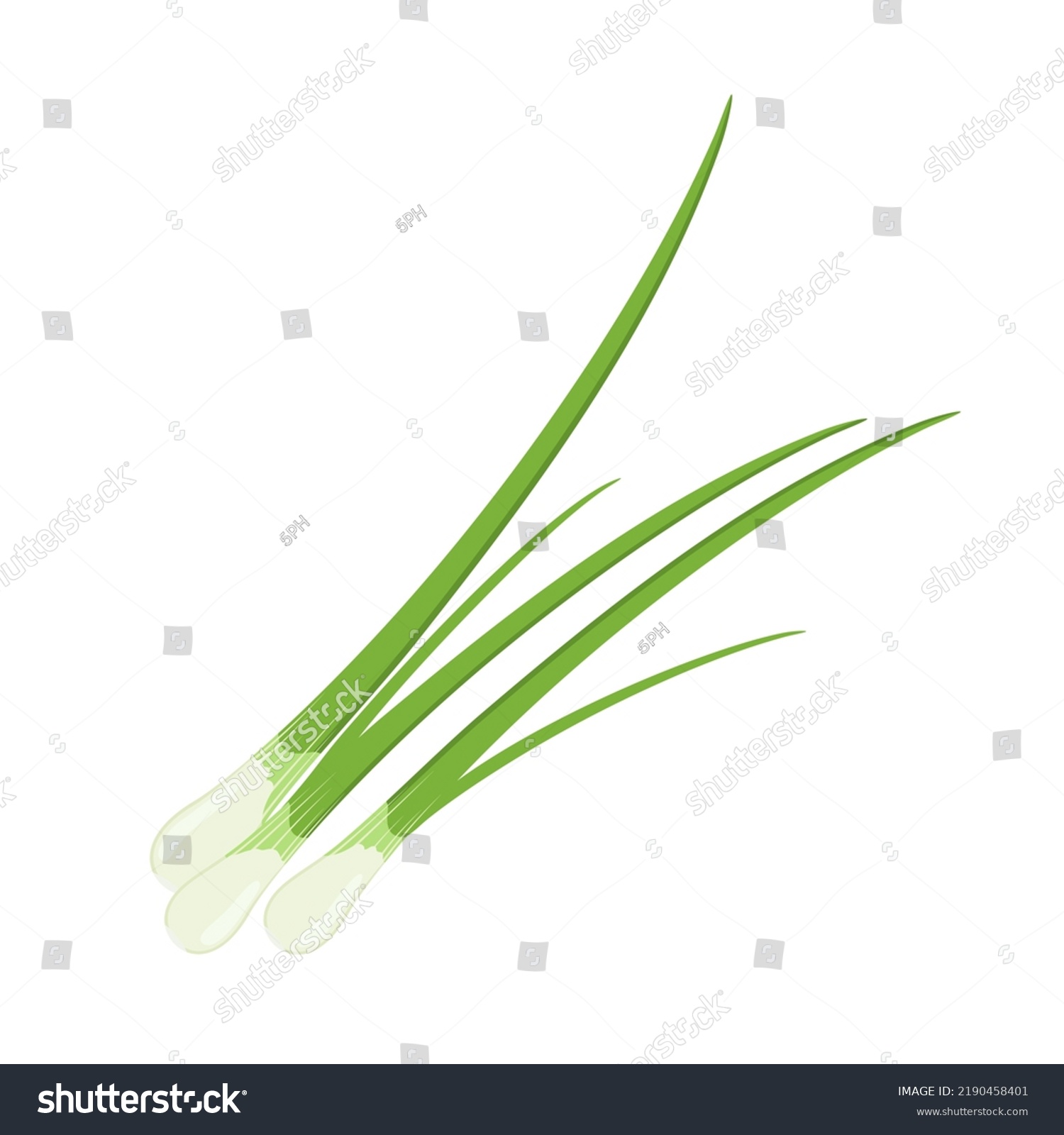 SVG of Green onion, chives or scallion, vector illustration isolated on white background svg
