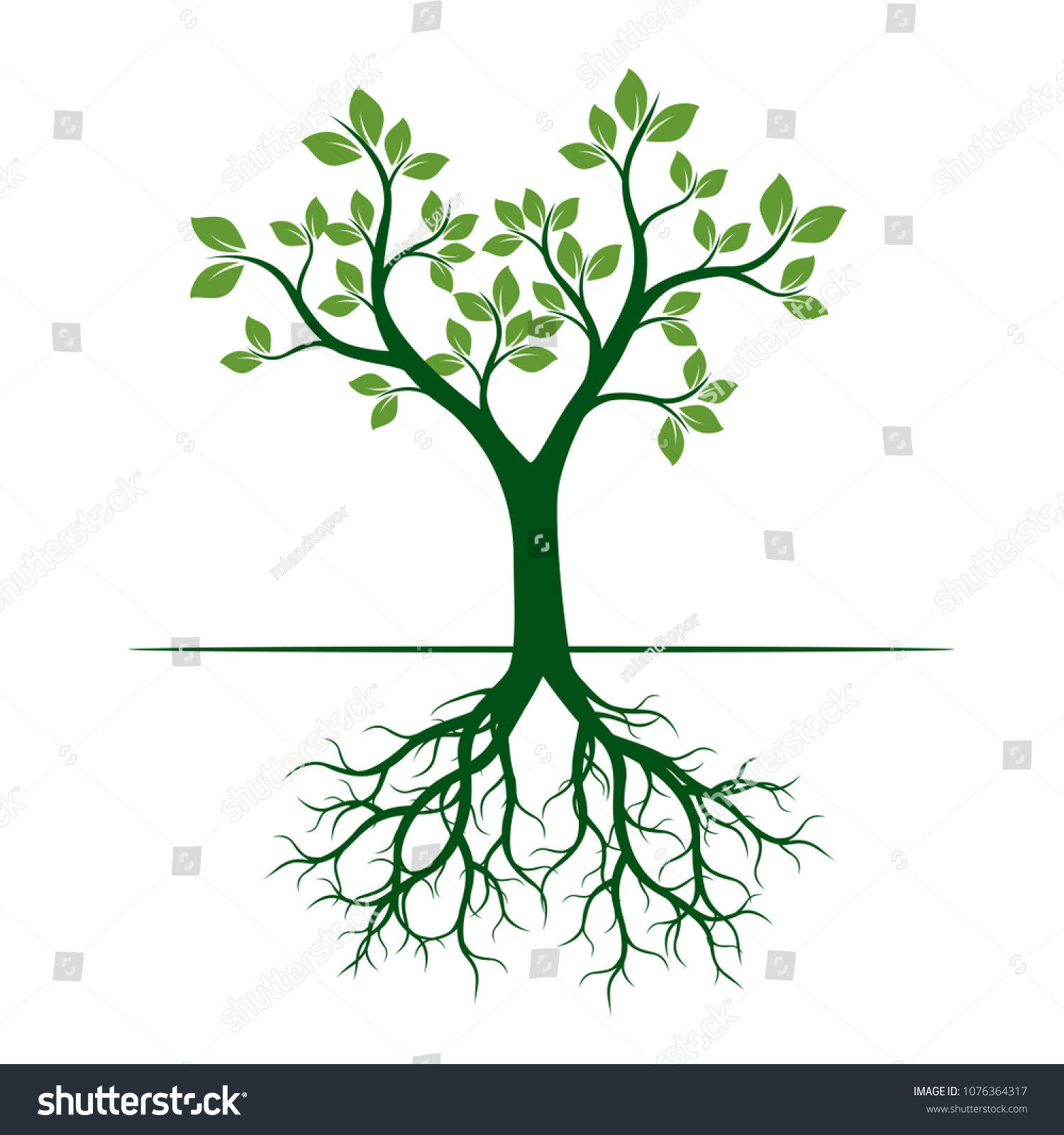 Green Spring Tree Roots Vector Illustration Stock Vector (Royalty Free ...