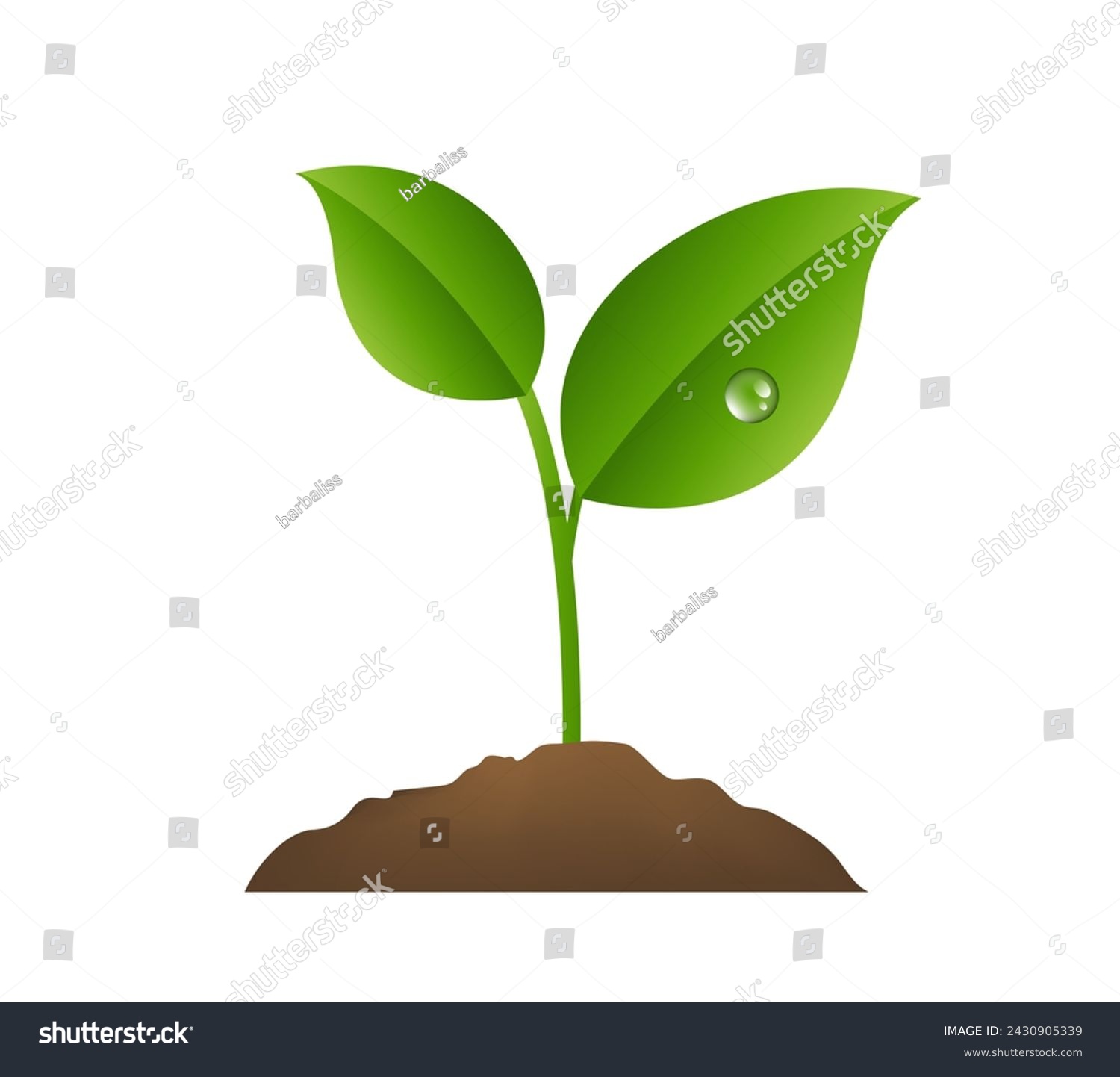 green sprout growing from soil clip art preview