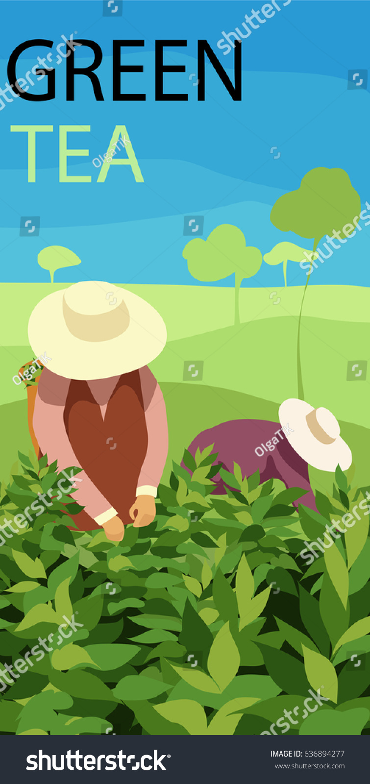 Green Tea Tea Pickers Stock Vector (Royalty Free) 636894277