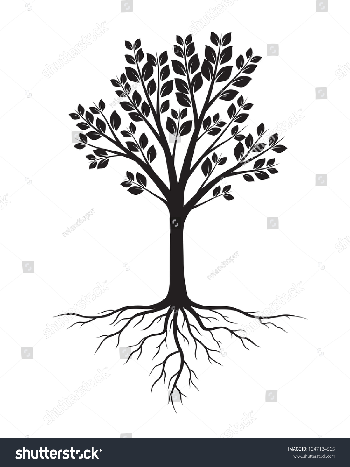 Green Tree Roots Vector Illustration Plant Stock Vector (Royalty Free ...