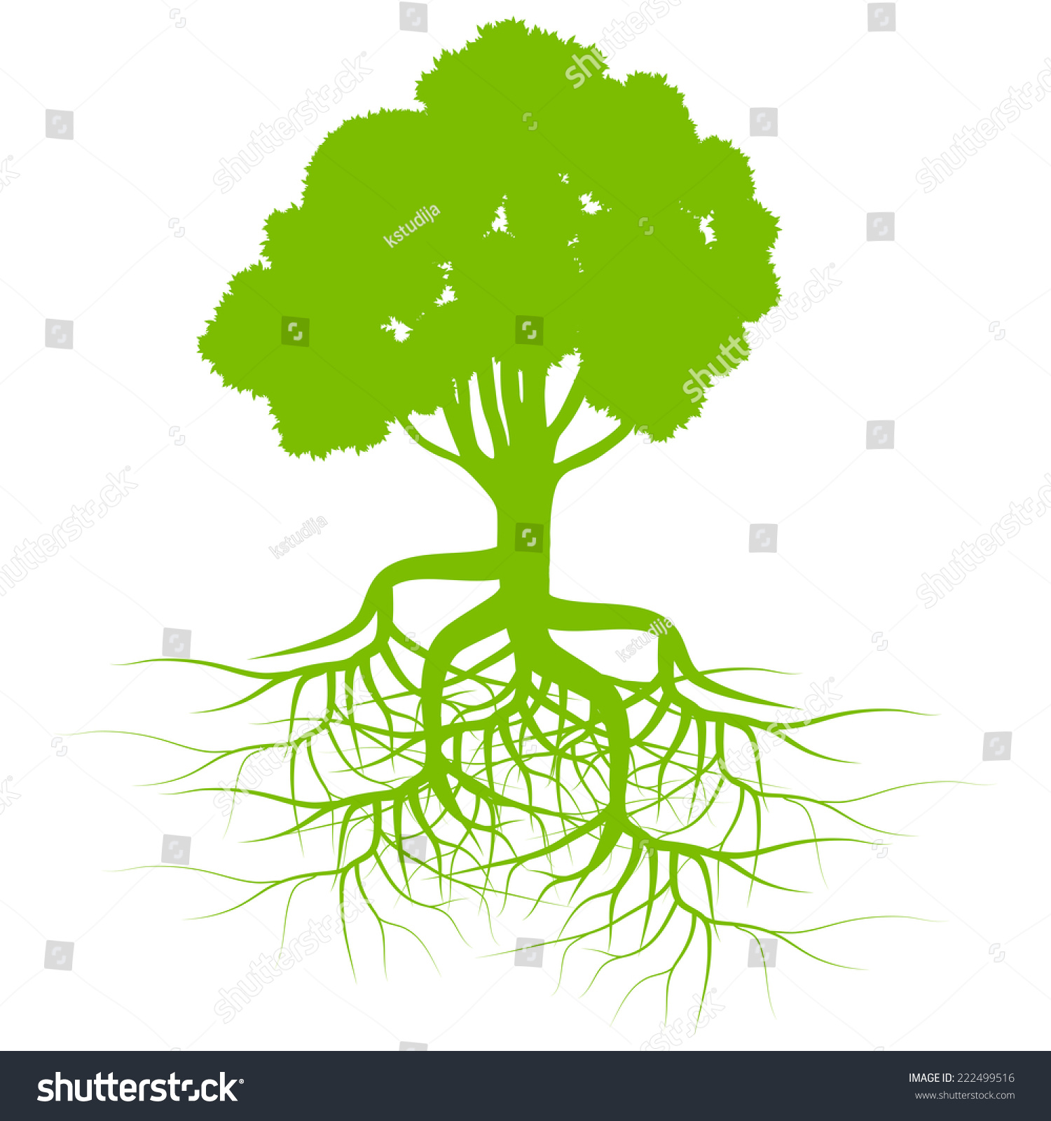 Green Tree Roots Background Vector Stock Vector (Royalty Free) 222499516
