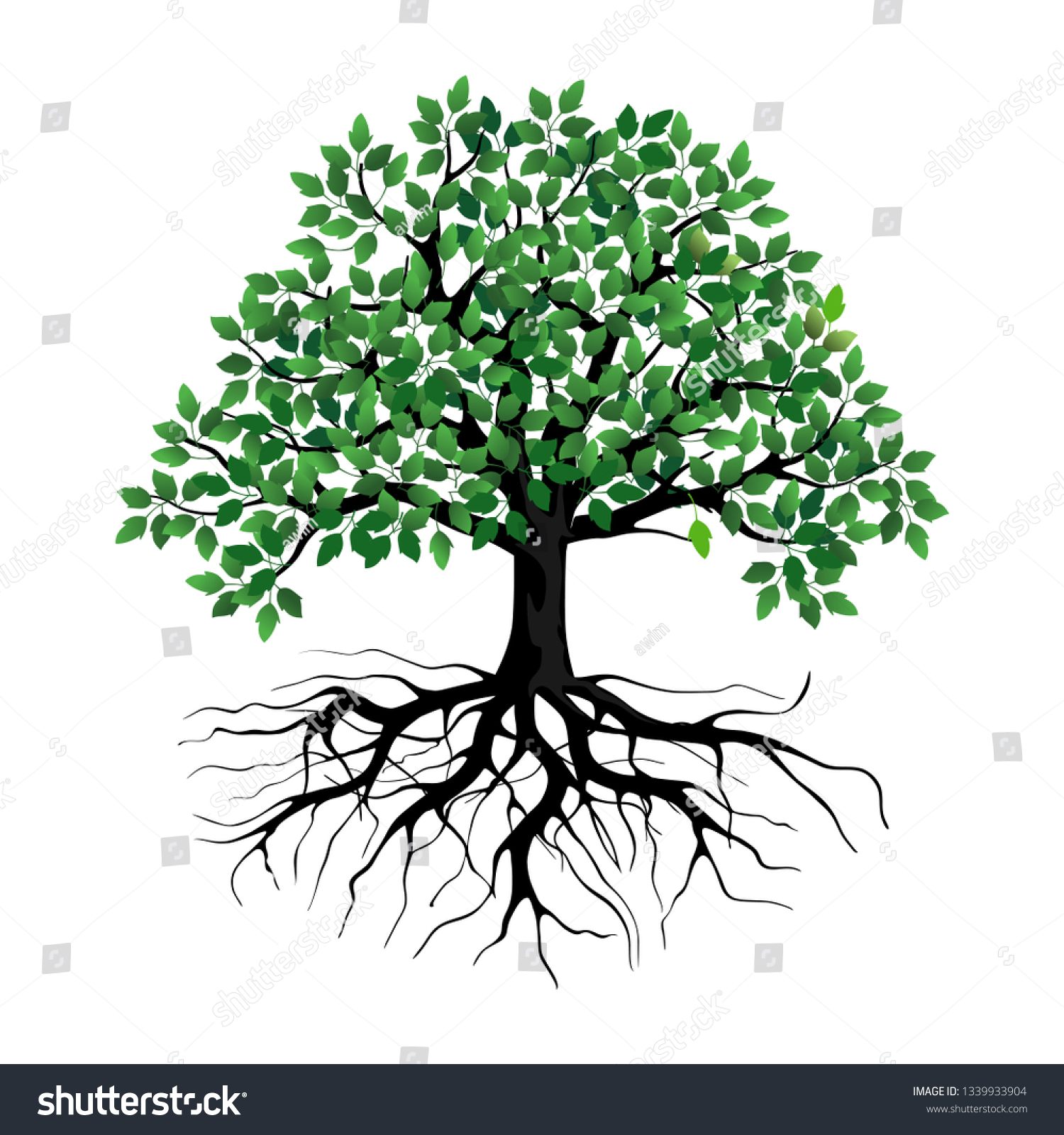 10,979 Old oak tree roots Images, Stock Photos & Vectors | Shutterstock