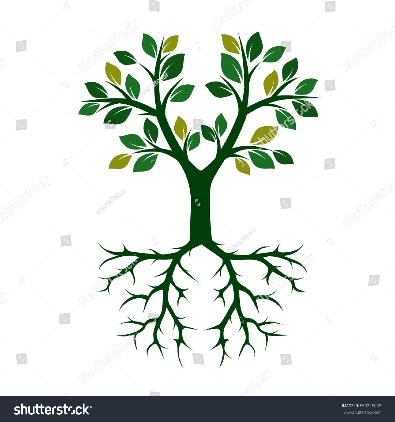 Green Tree Roots Vector Illustration: เวกเตอร์สต็อก (ปลอดค่าลิขสิทธิ์ ...