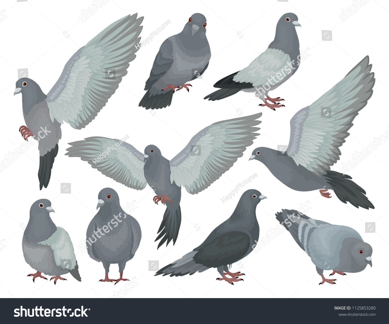 Grey Pigeons Set Doves Different Poses Stock Vector (Royalty Free ...